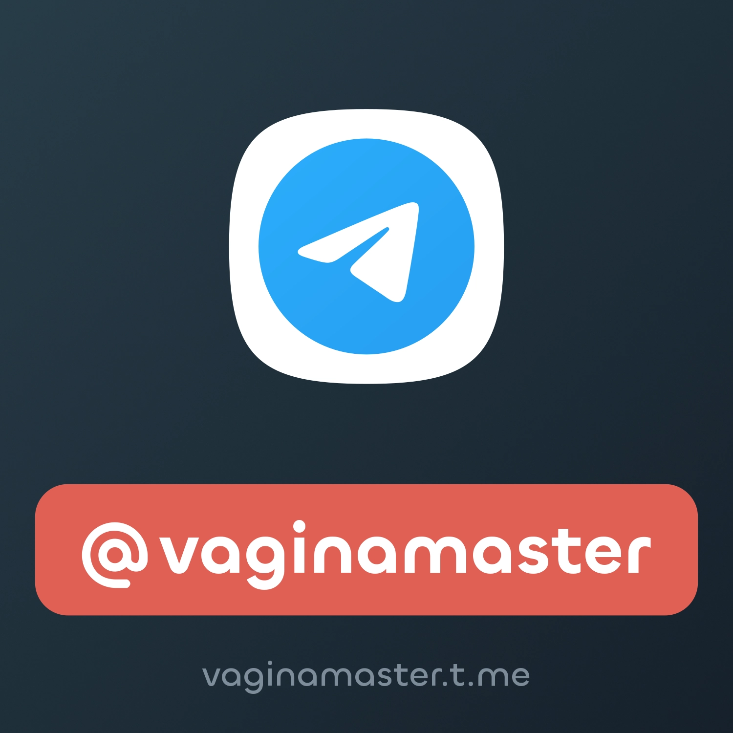 Vaginamaster Fragment