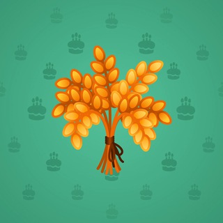 nft