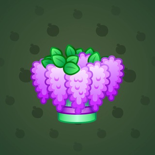 nft