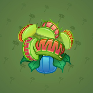 nft