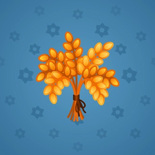 nft