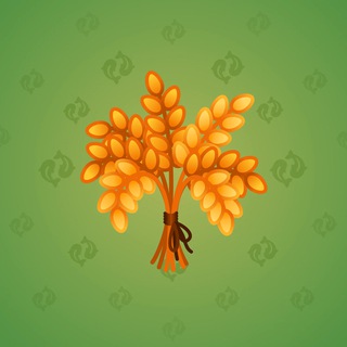nft