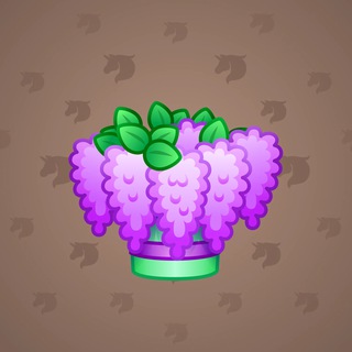 nft