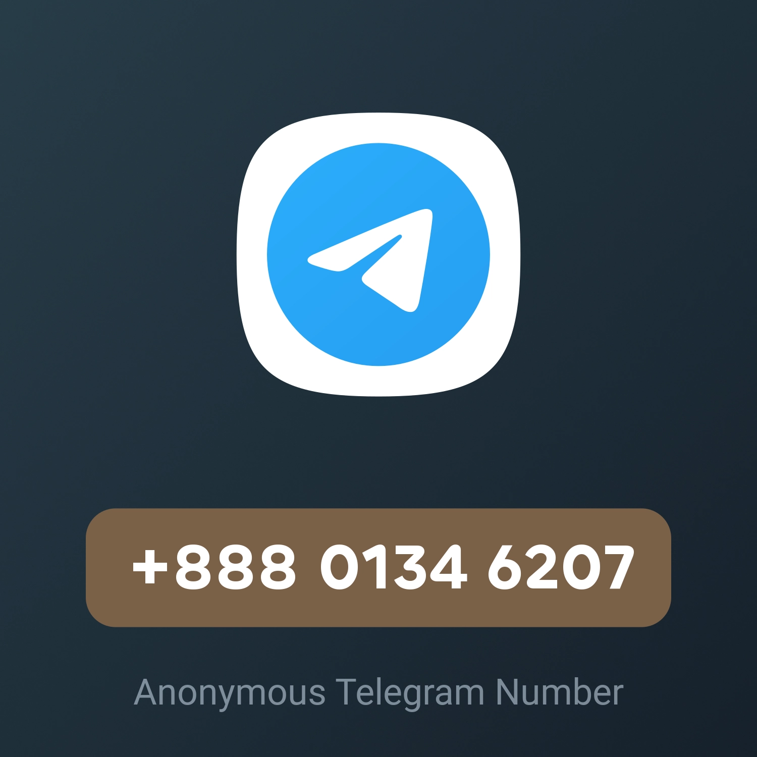 +888 0134 6207