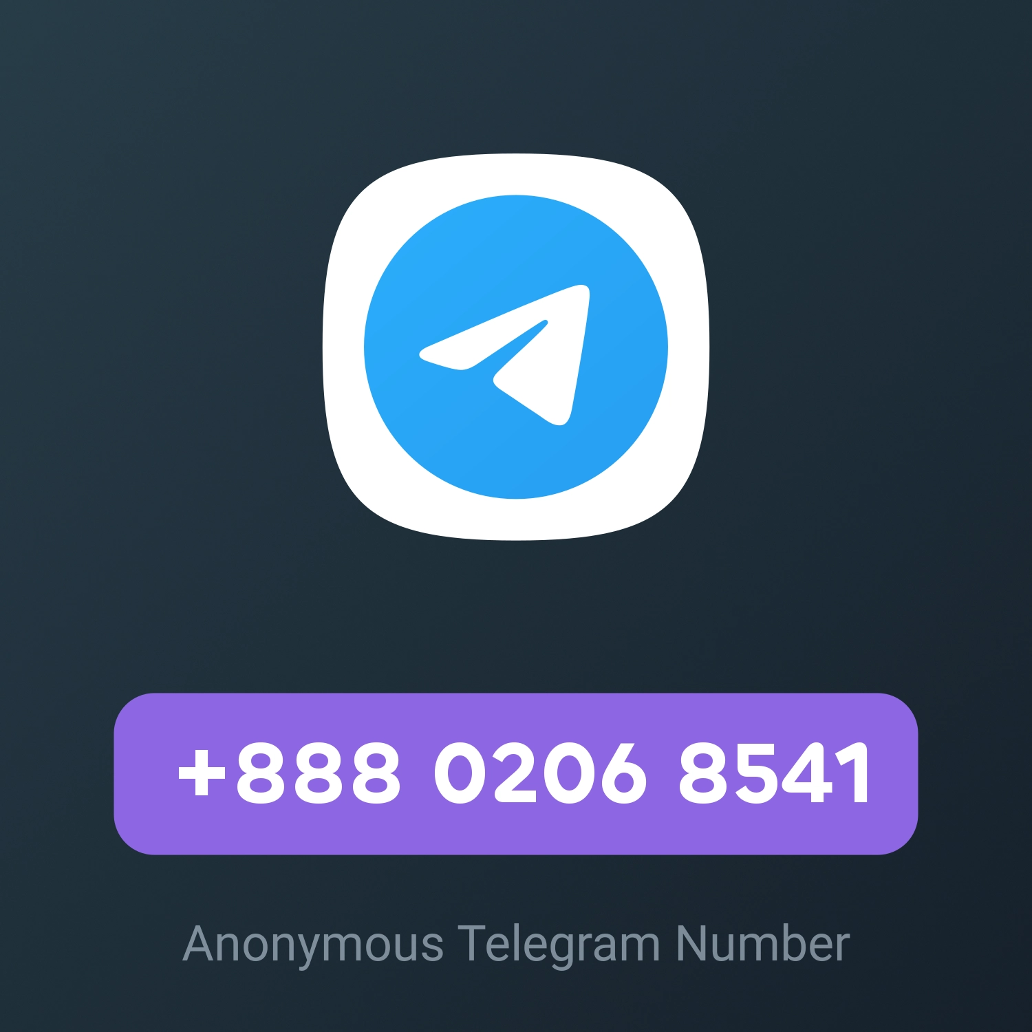 +888 0206 8541