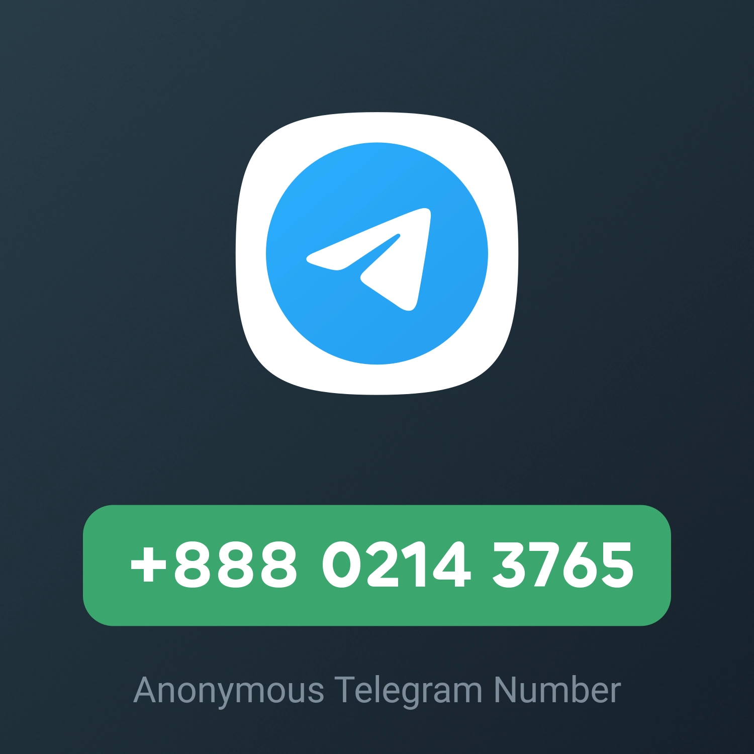 +888 0214 3765