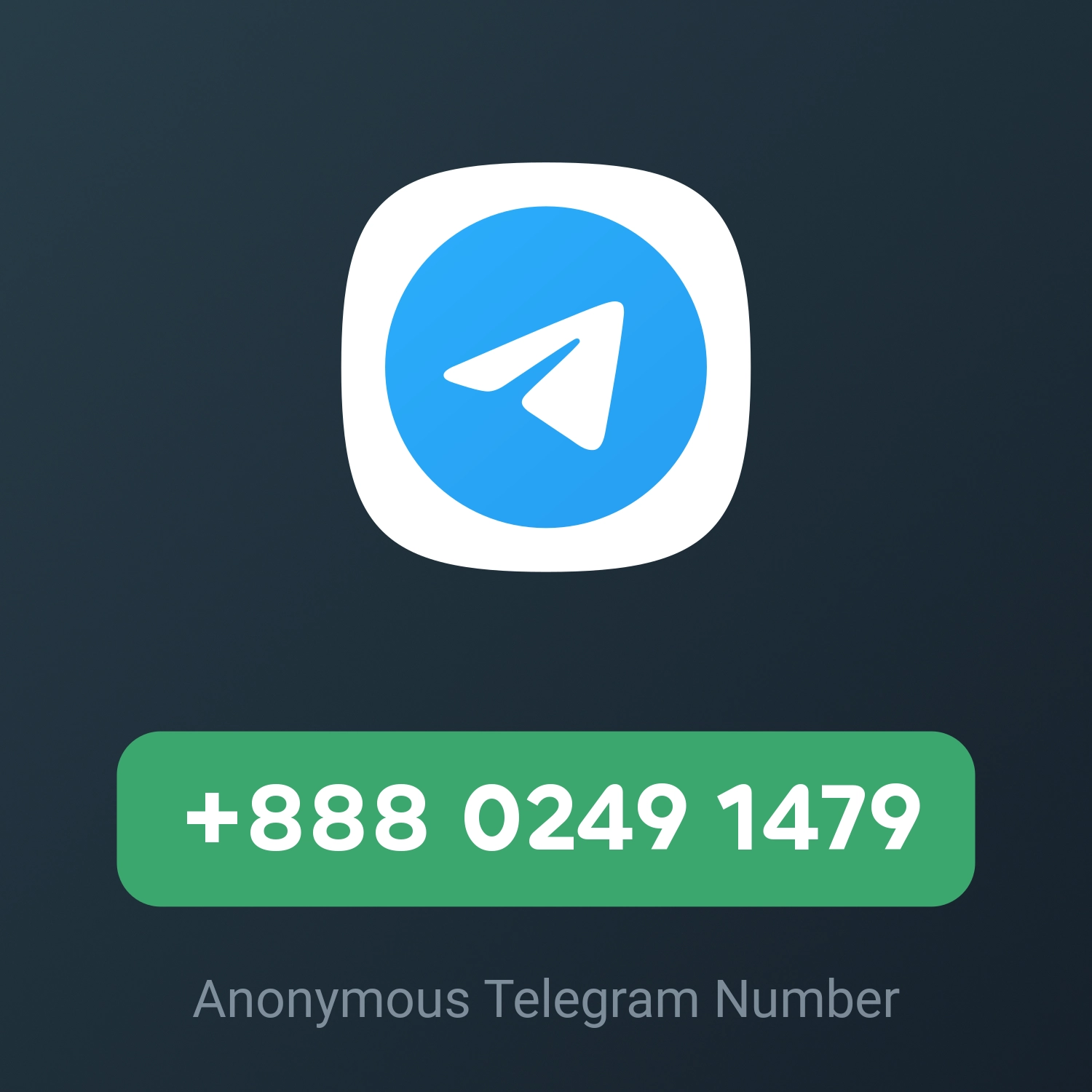 +888 0249 1479