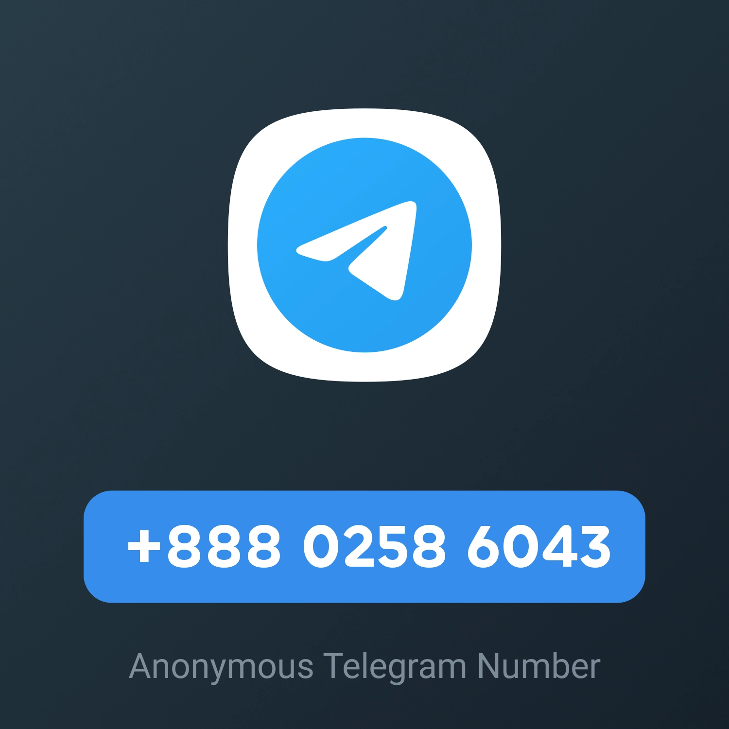 +888 0258 6043