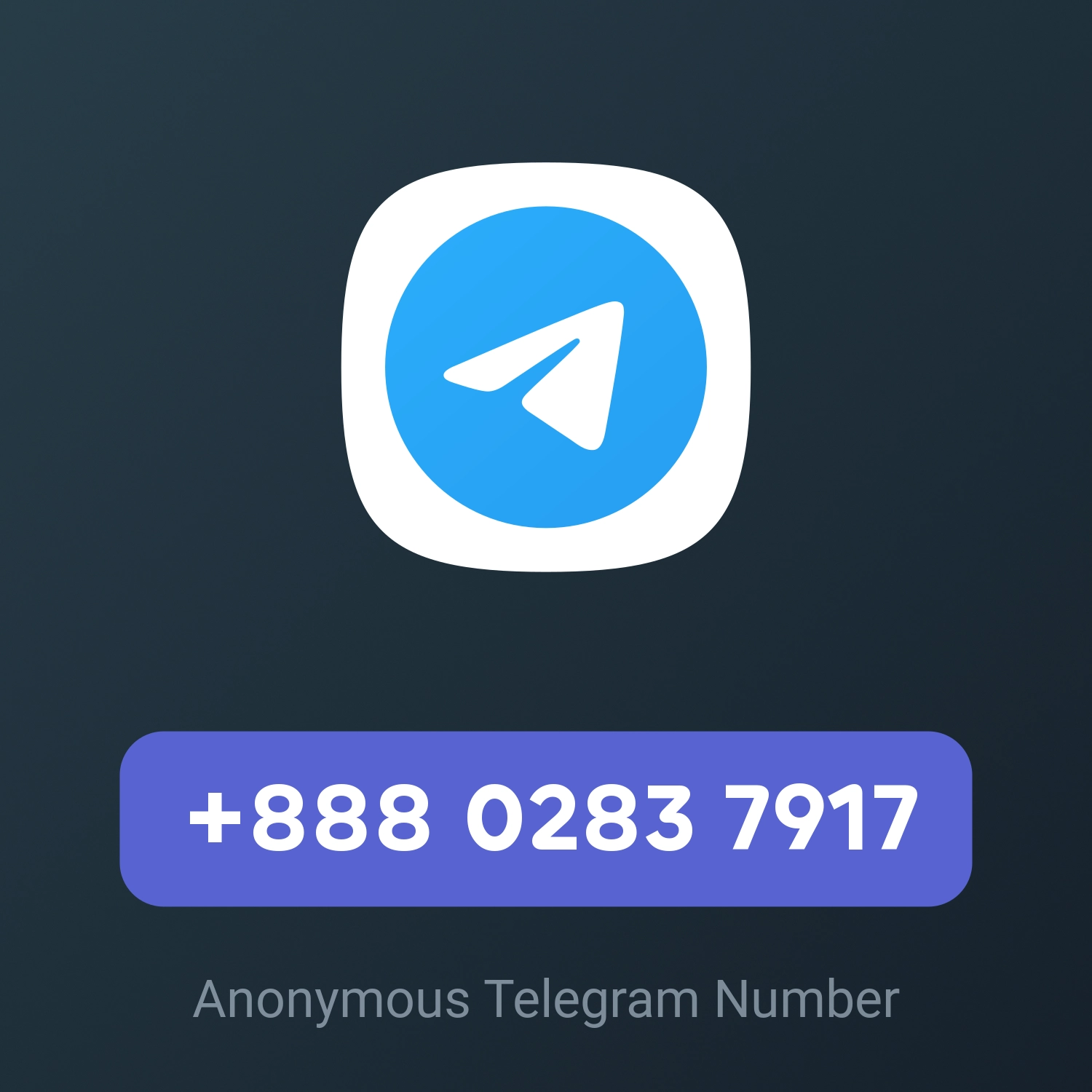 +888 0283 7917