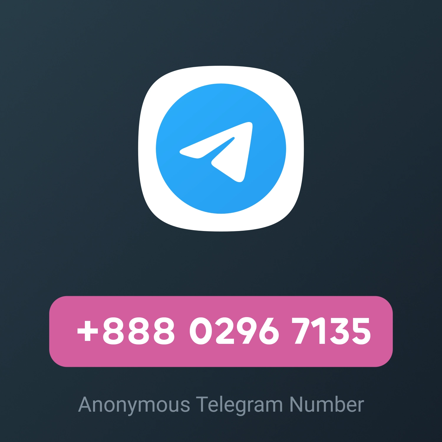 +888 0296 7135