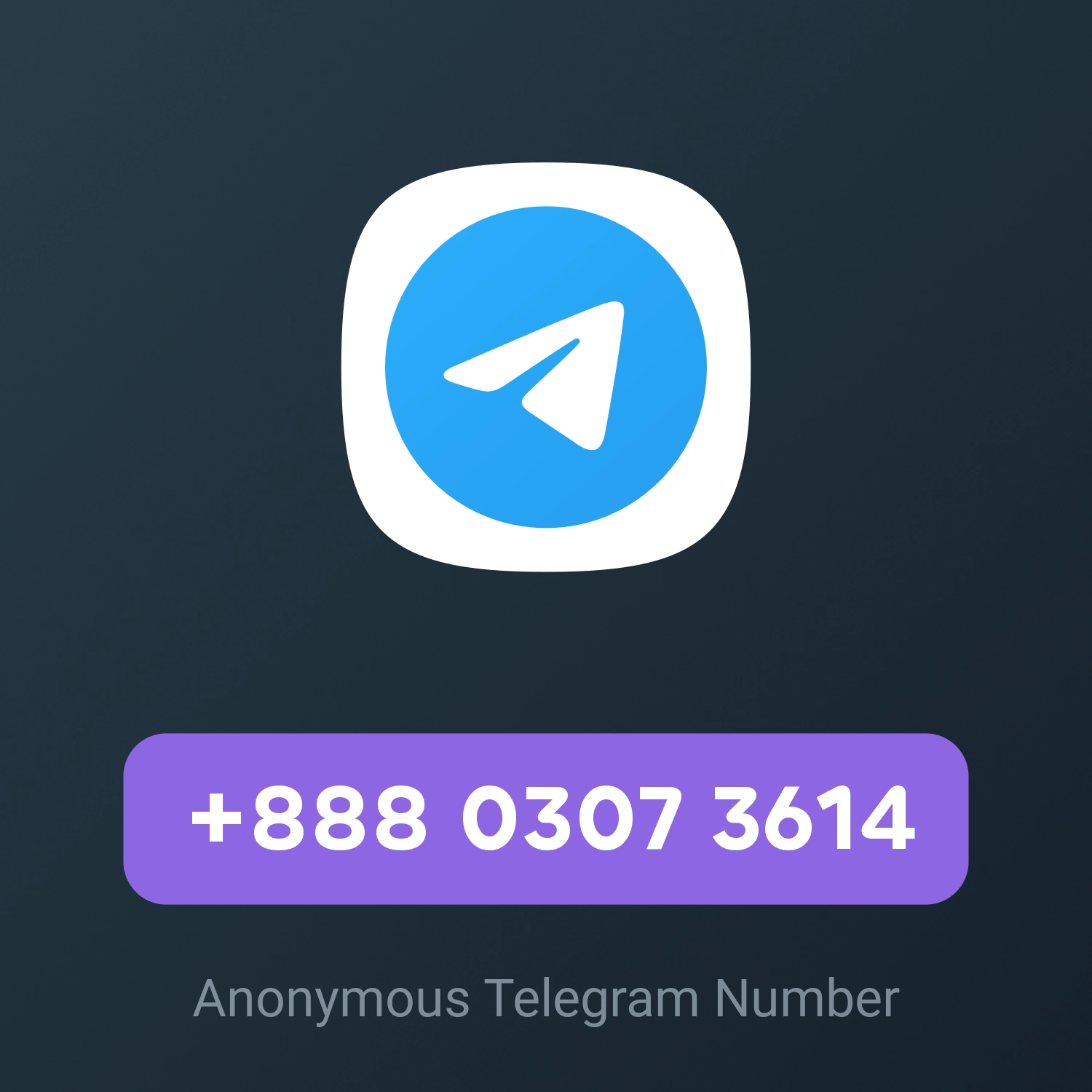 +888 0307 3614