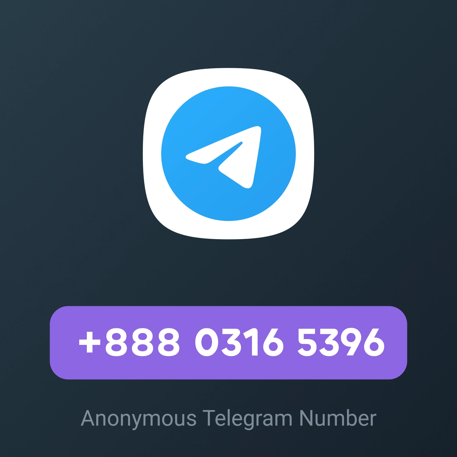 +888 0316 5396