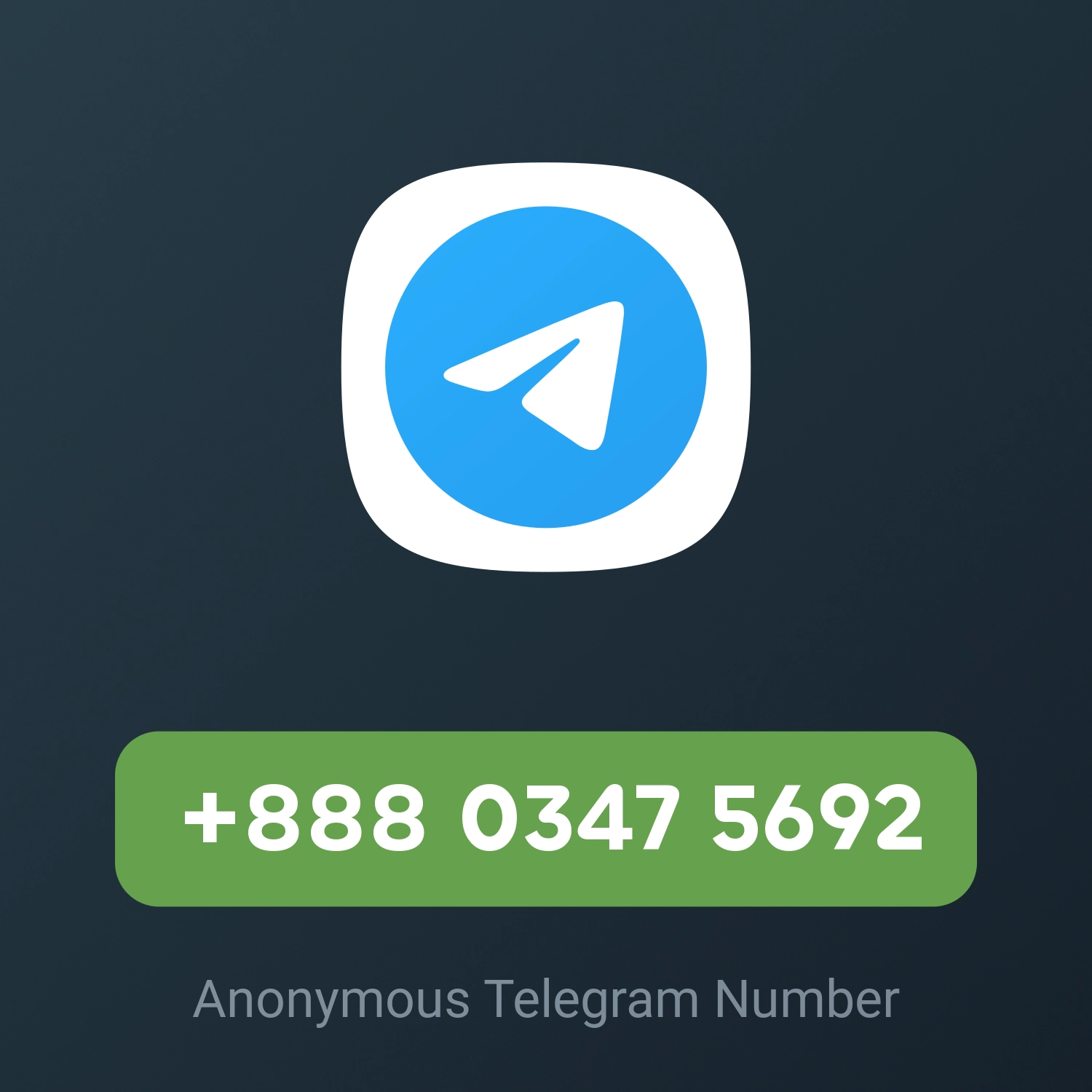 +888 0347 5692