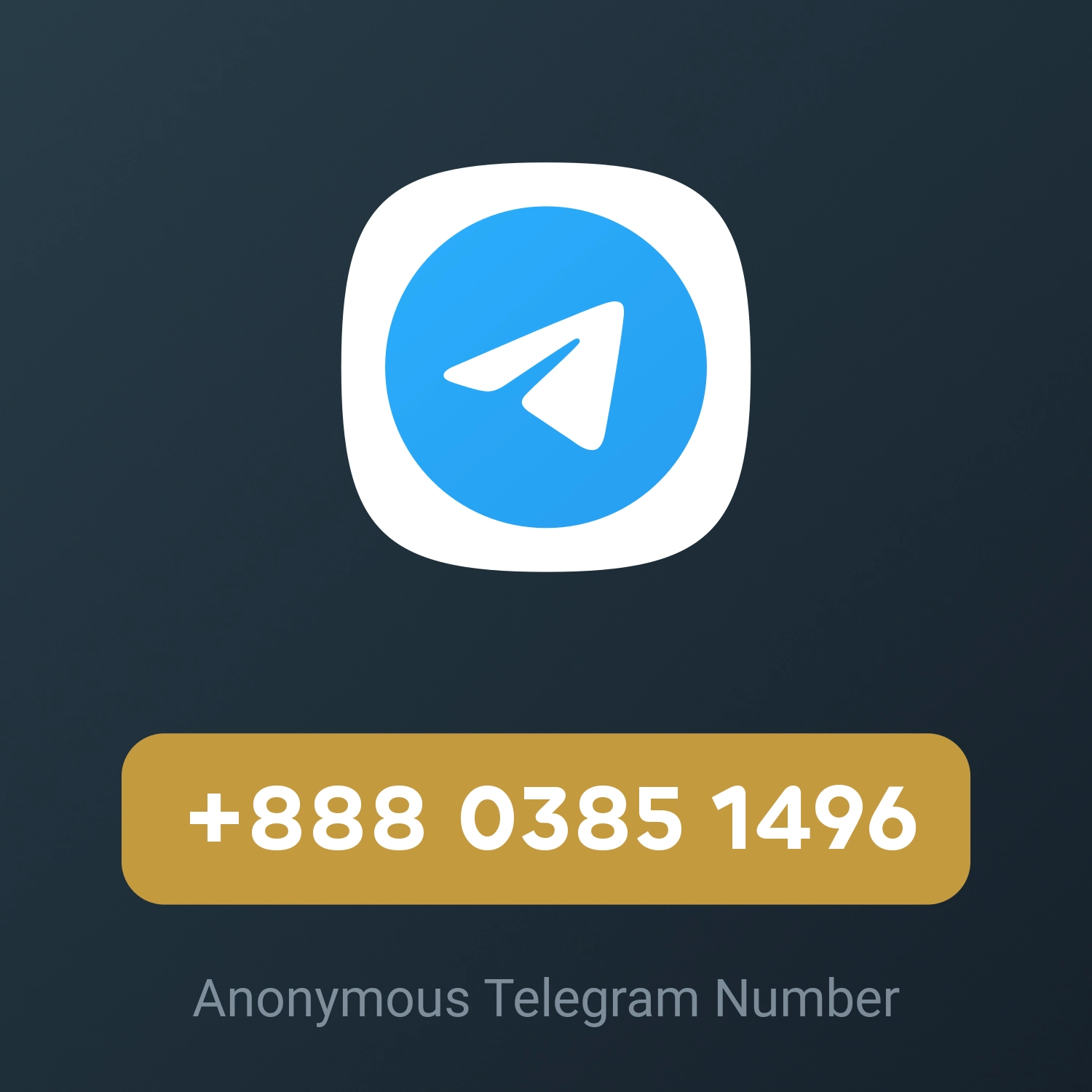 +888 0385 1496