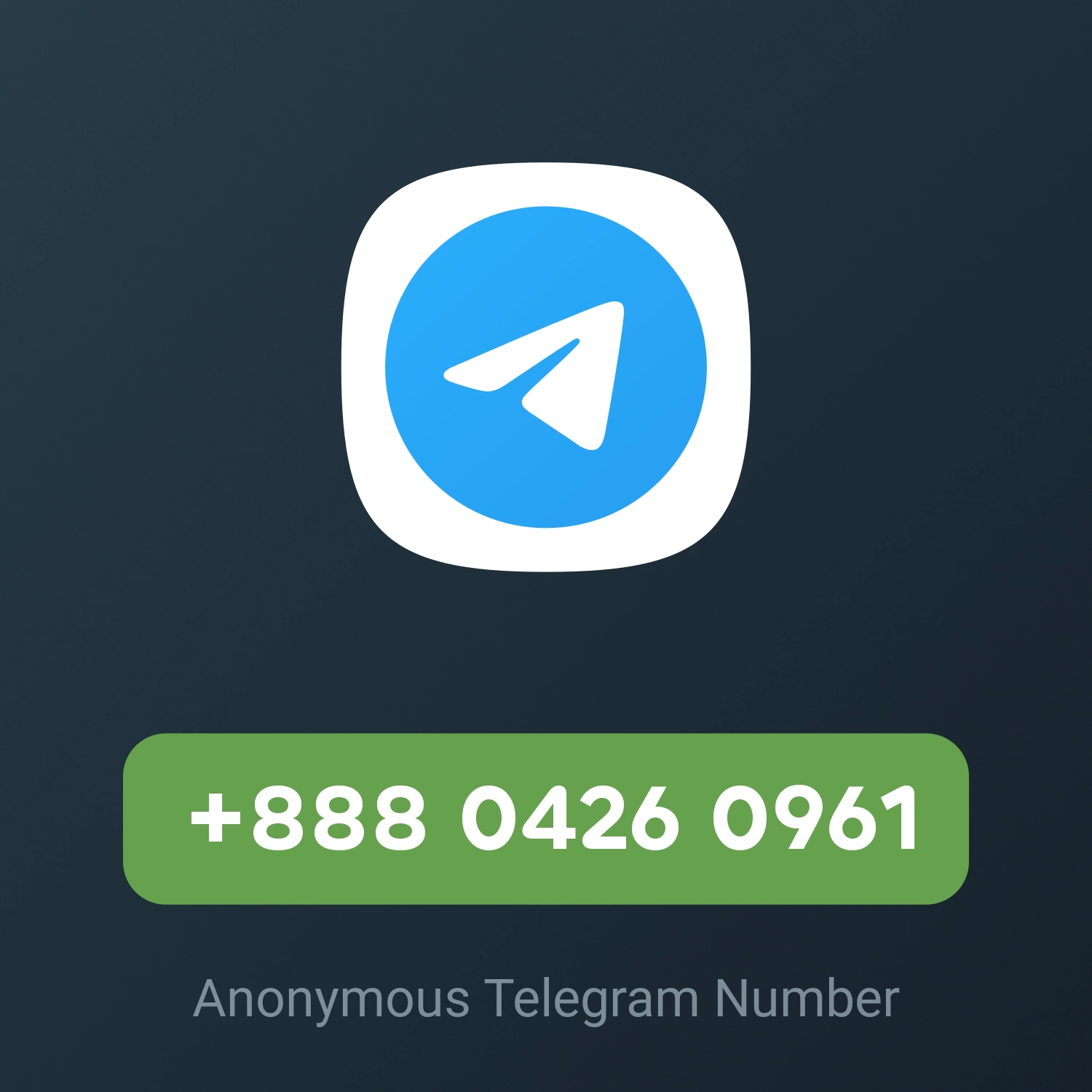 +888 0426 0961