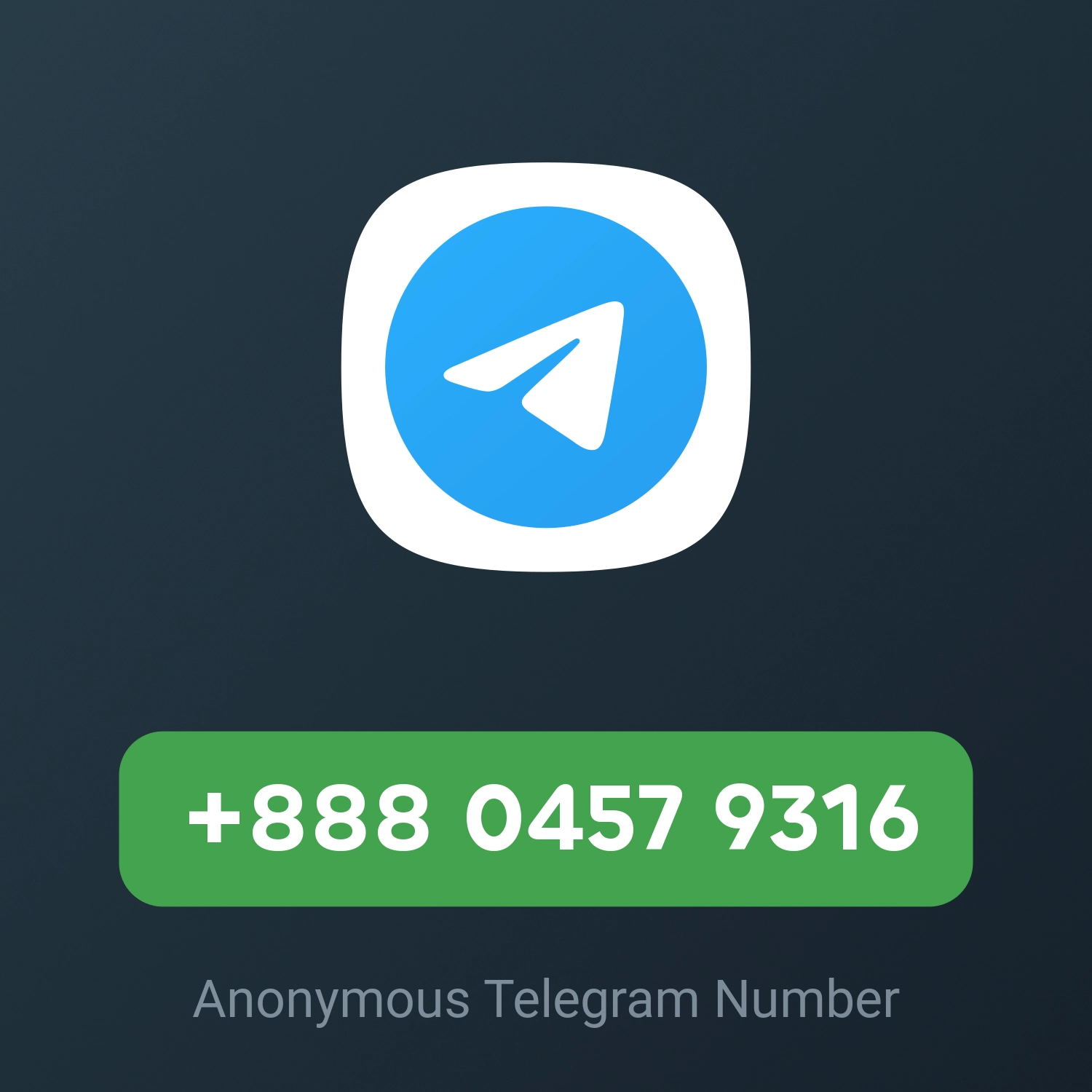 +888 0457 9316