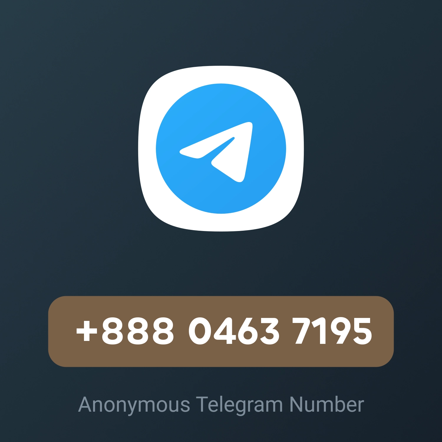 +888 0463 7195
