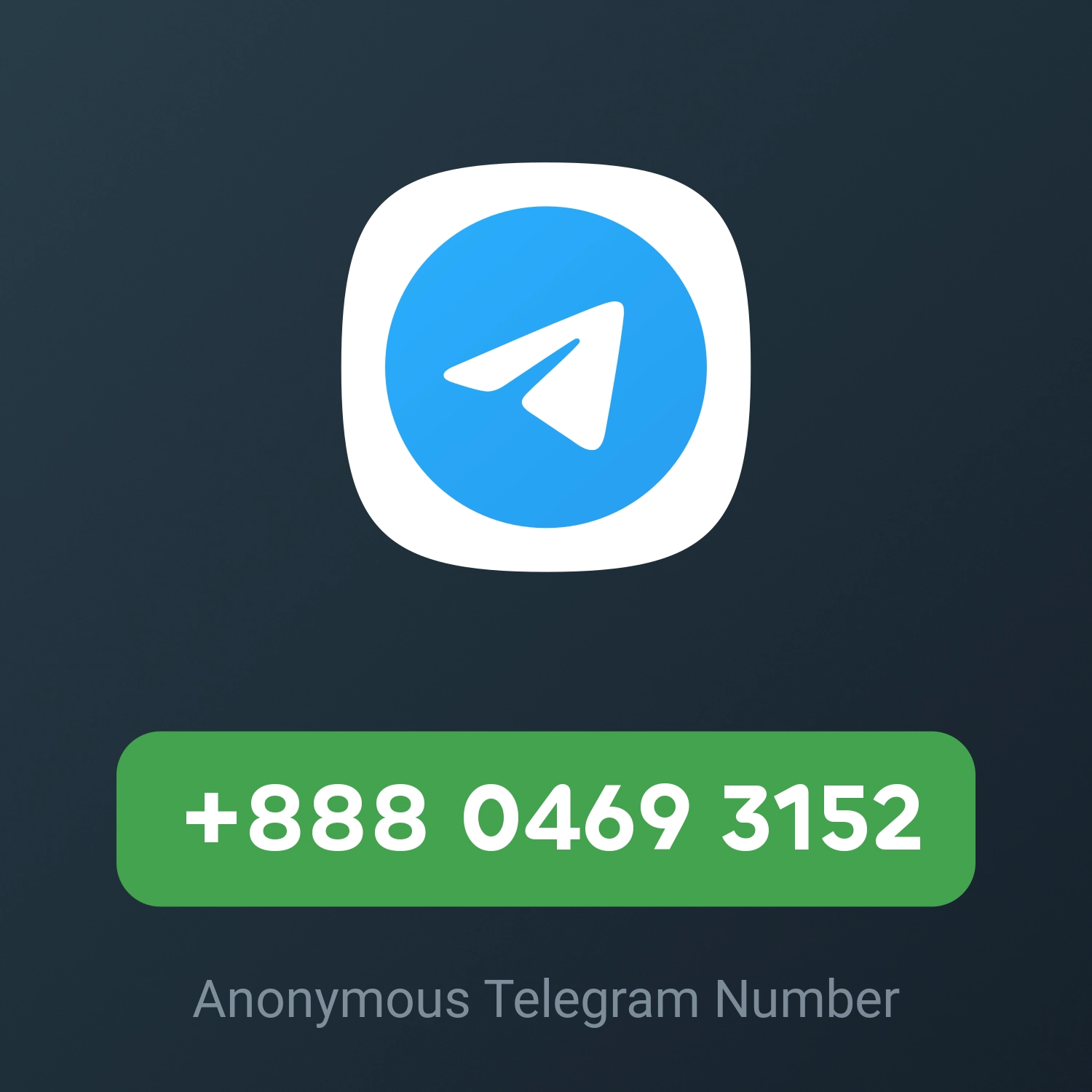 +888 0469 3152