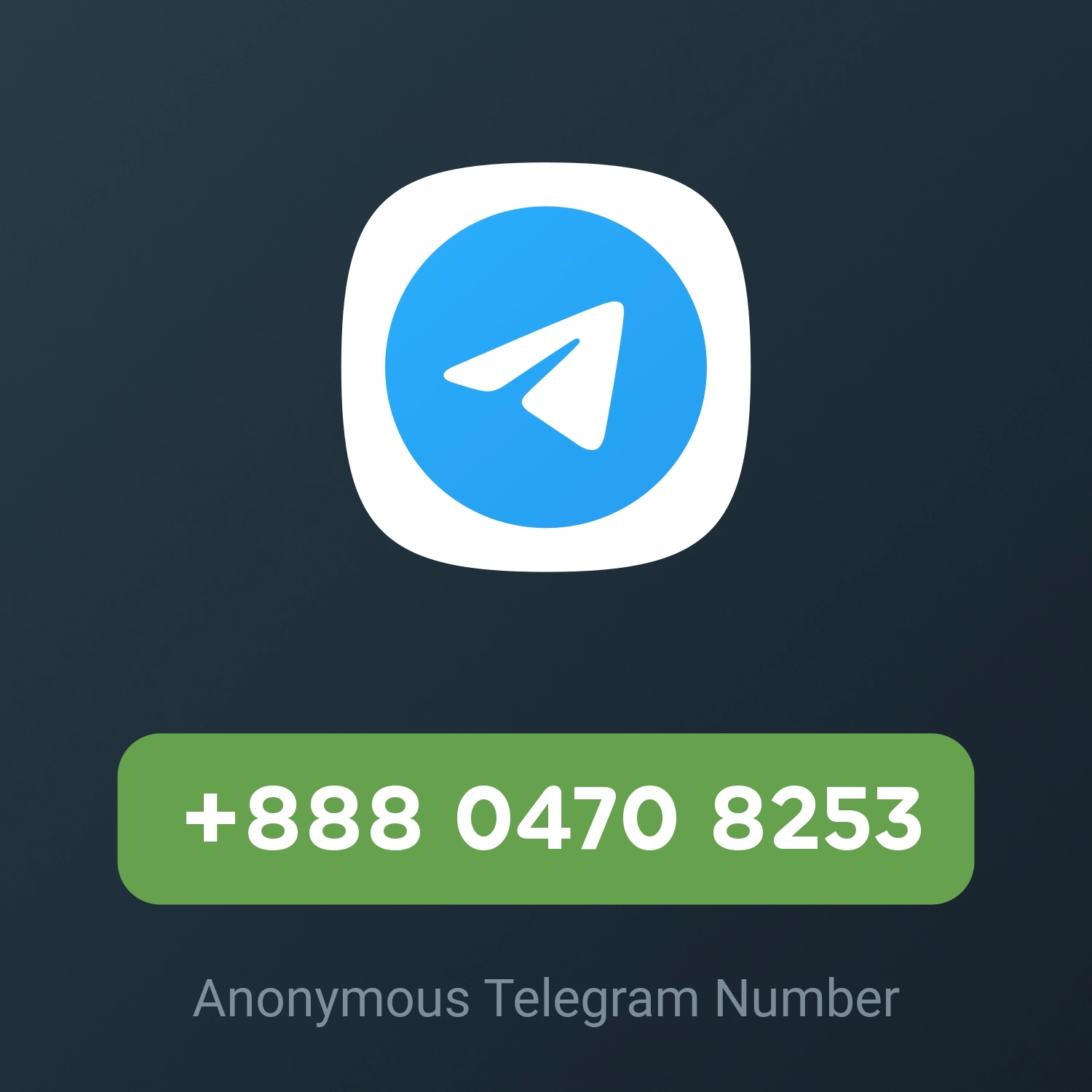 +888 0470 8253