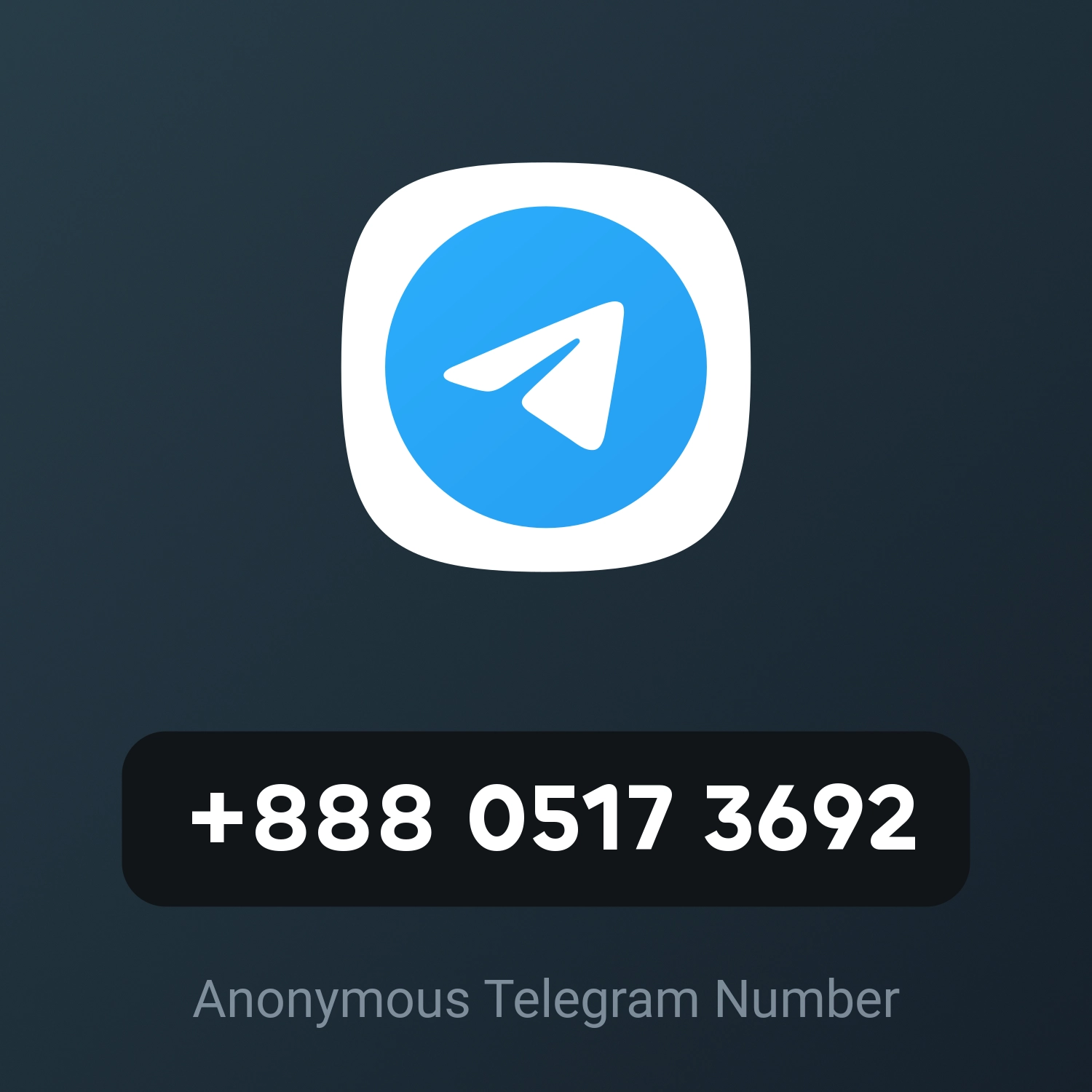 +888 0517 3692