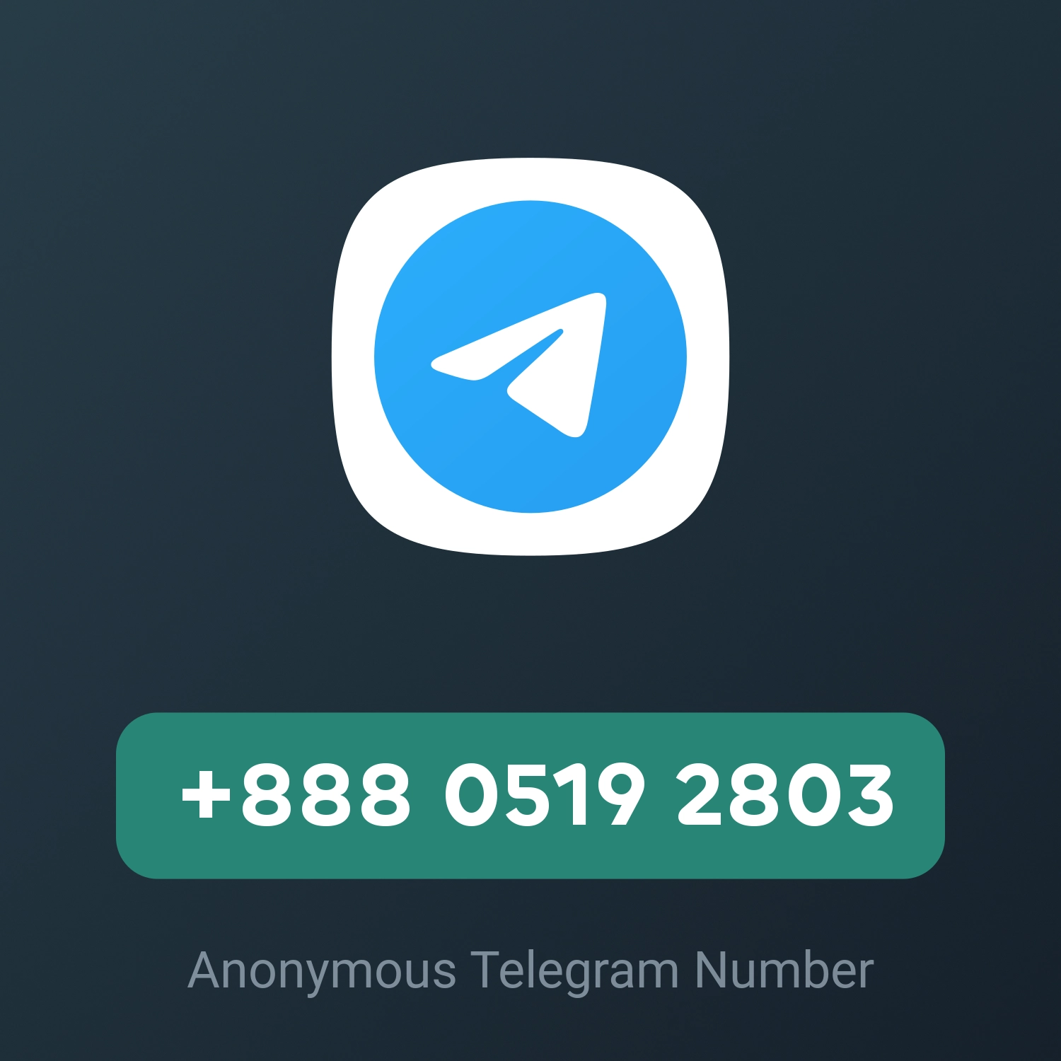 +888 0519 2803