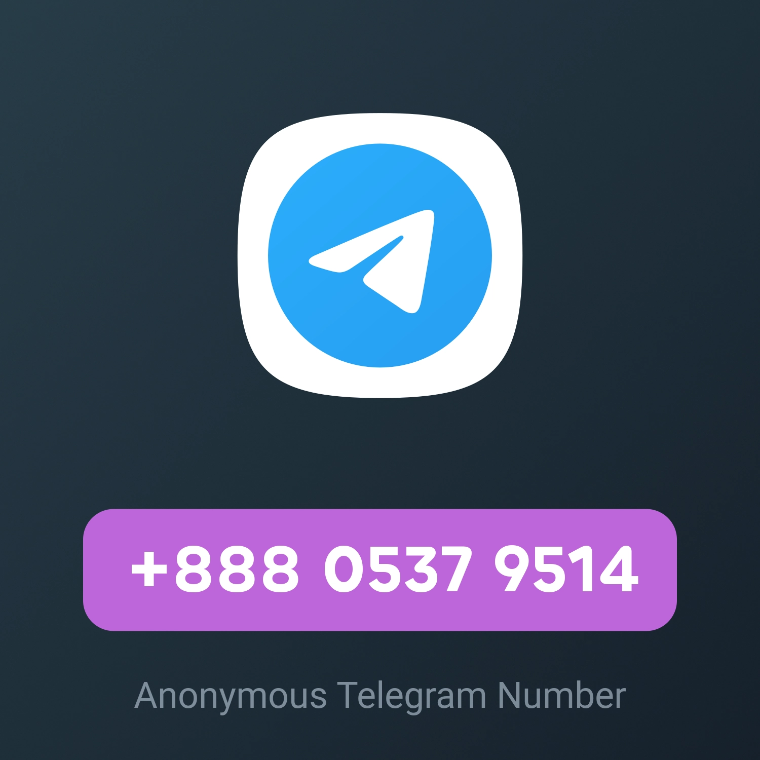 +888 0537 9514