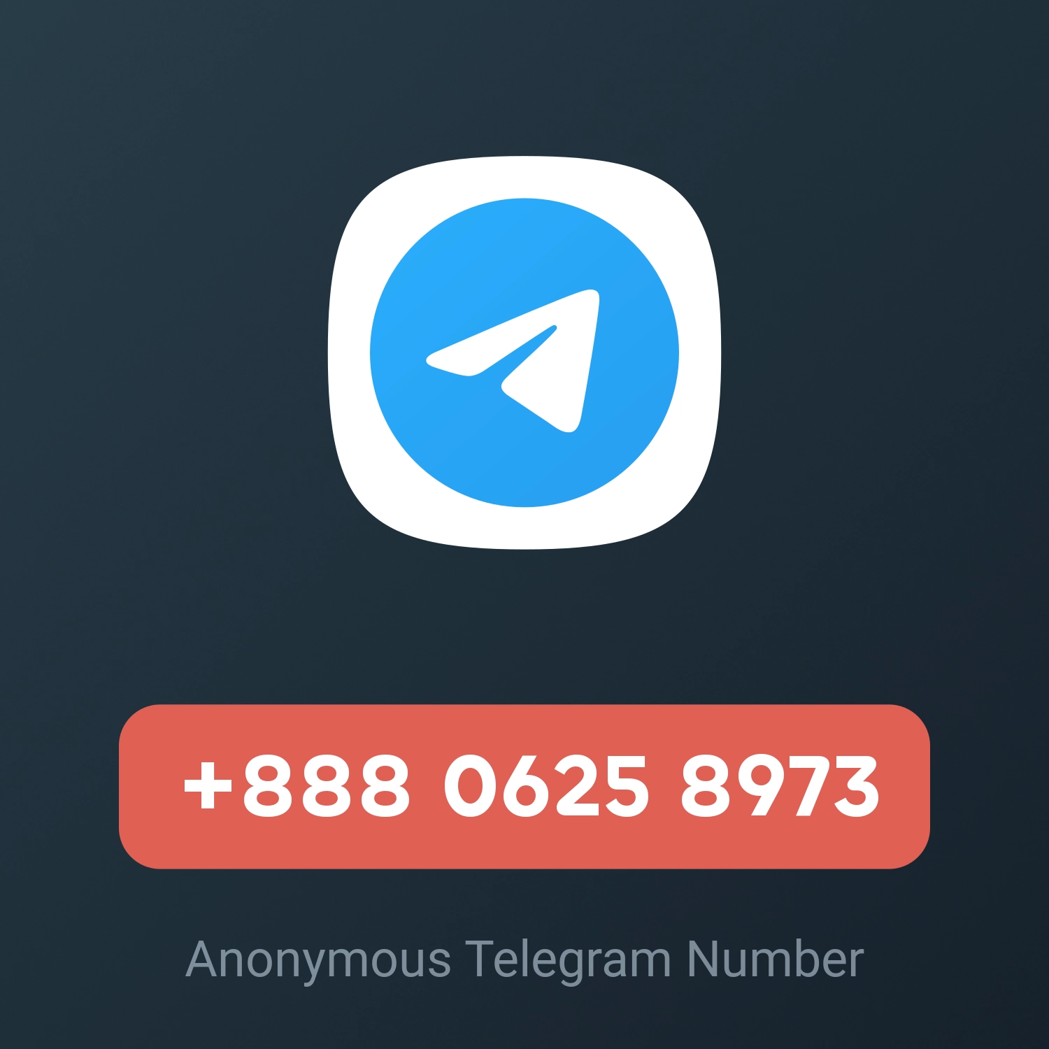 +888 0625 8973