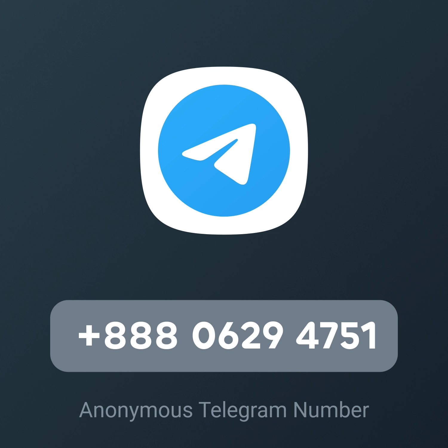 +888 0629 4751