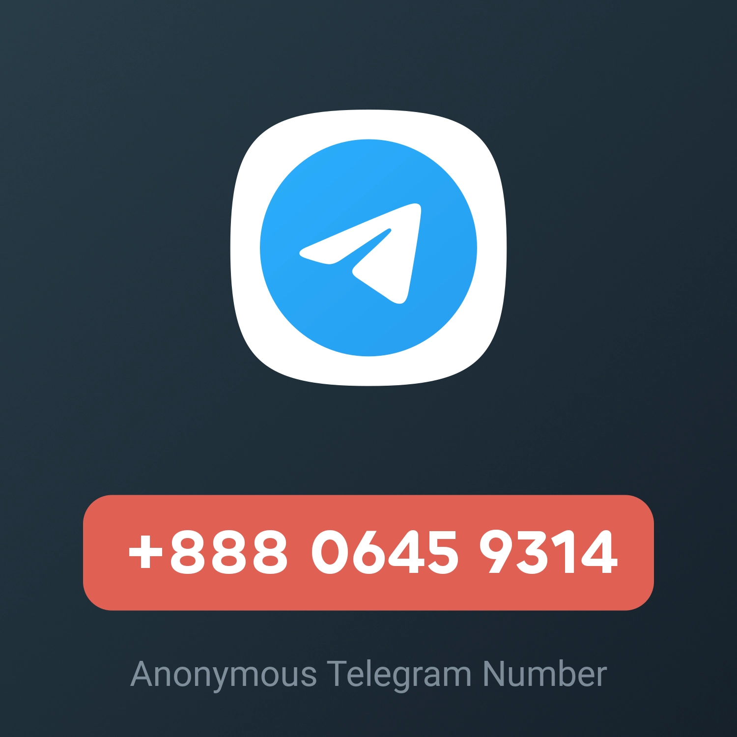 +888 0645 9314
