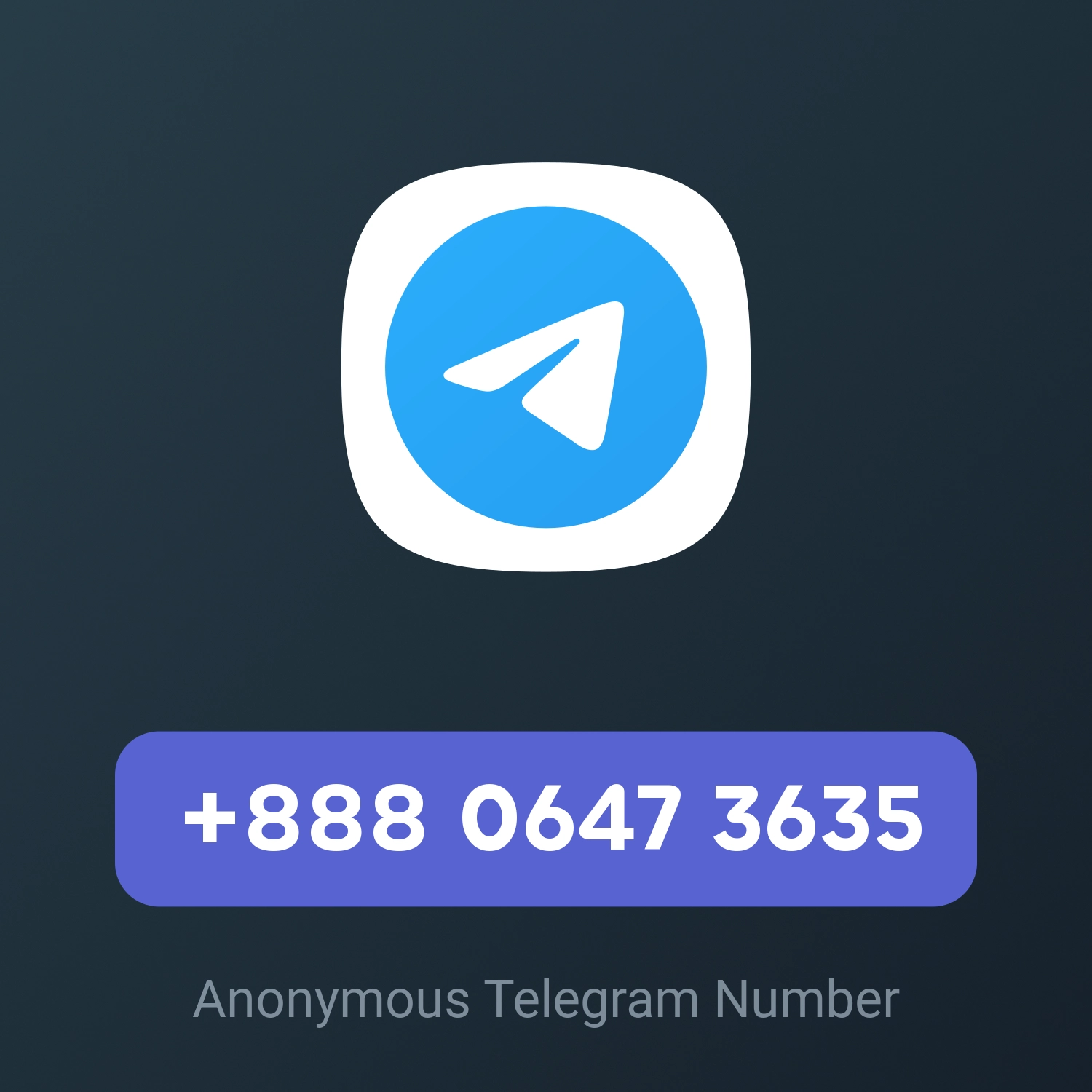 +888 0647 3635