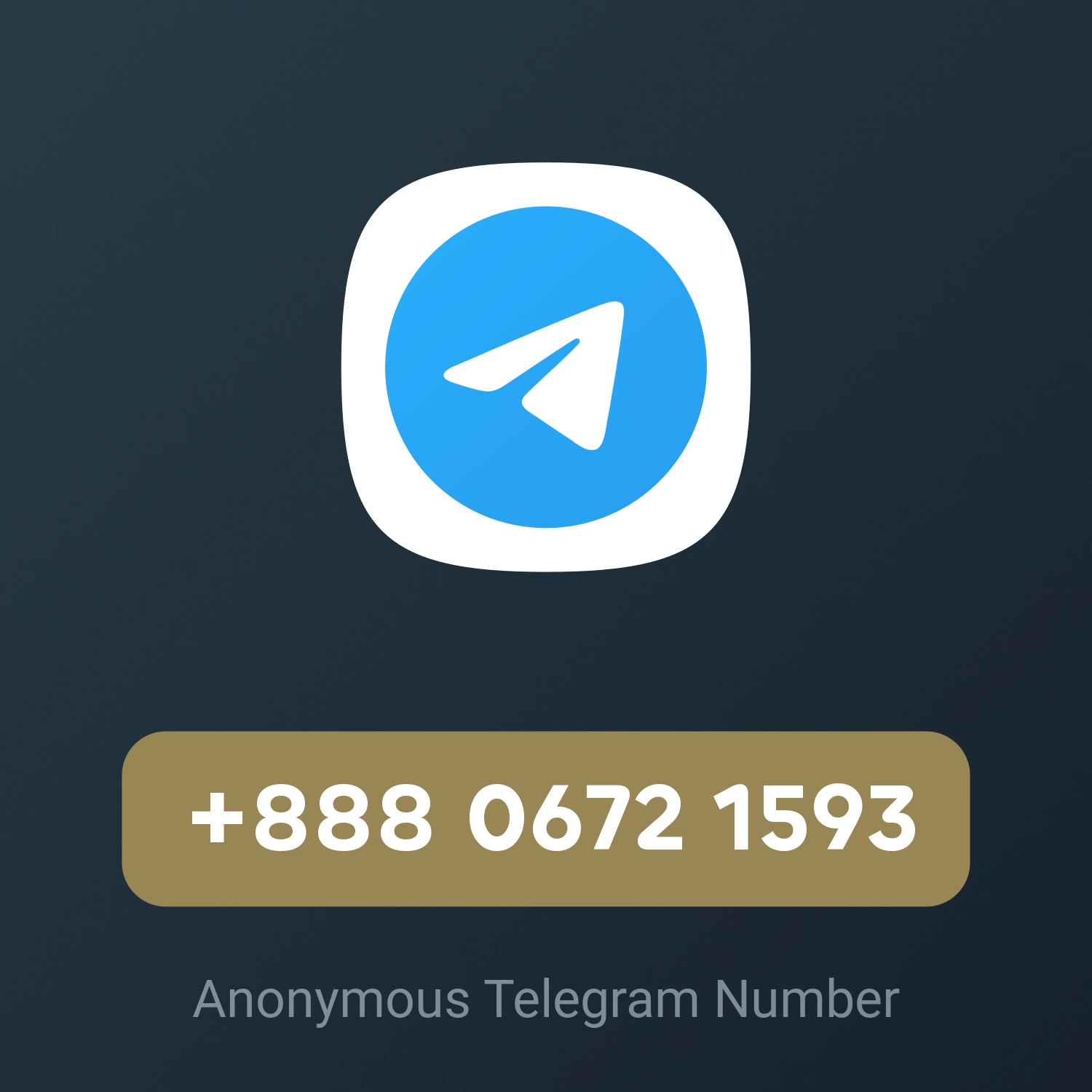 +888 0672 1593