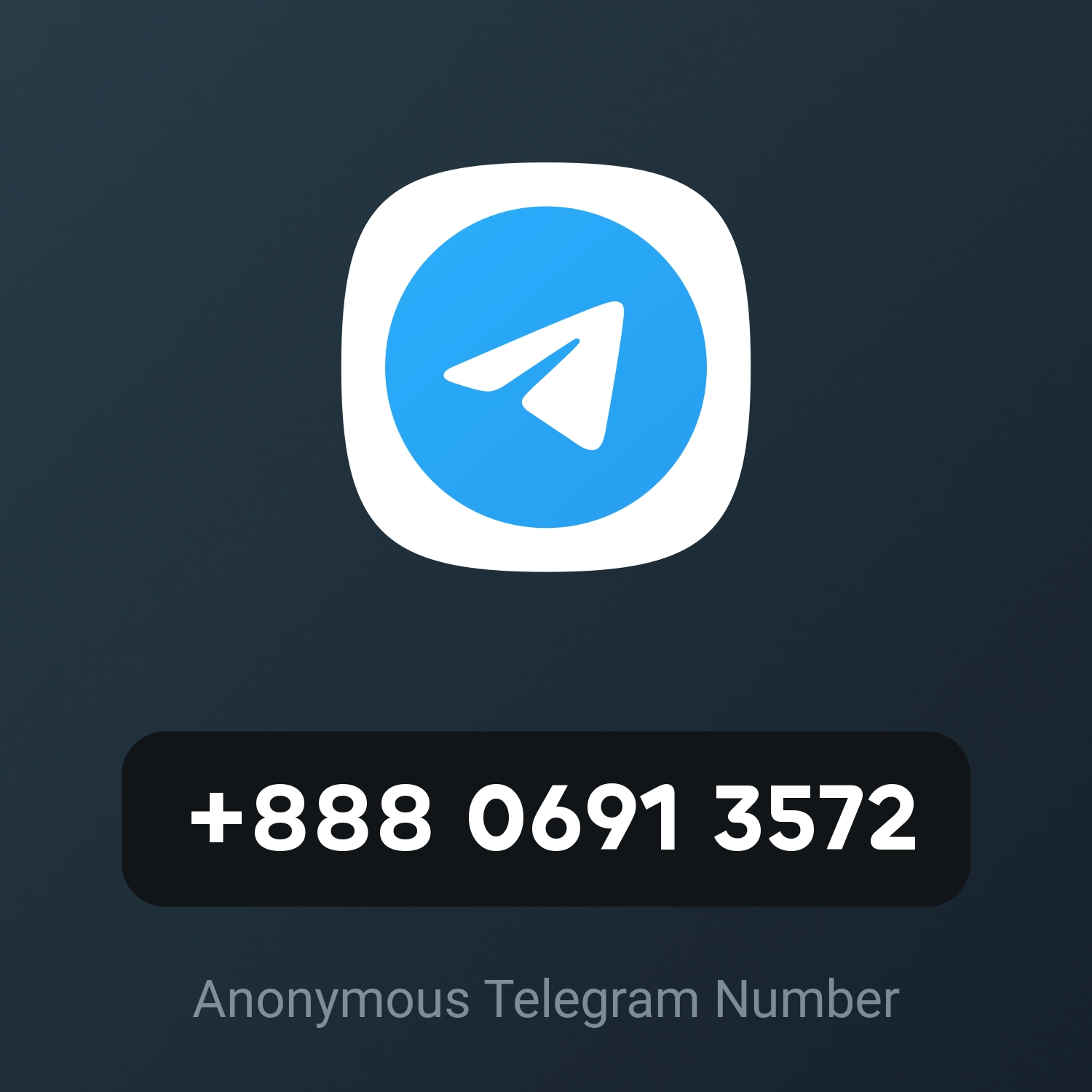 +888 0691 3572