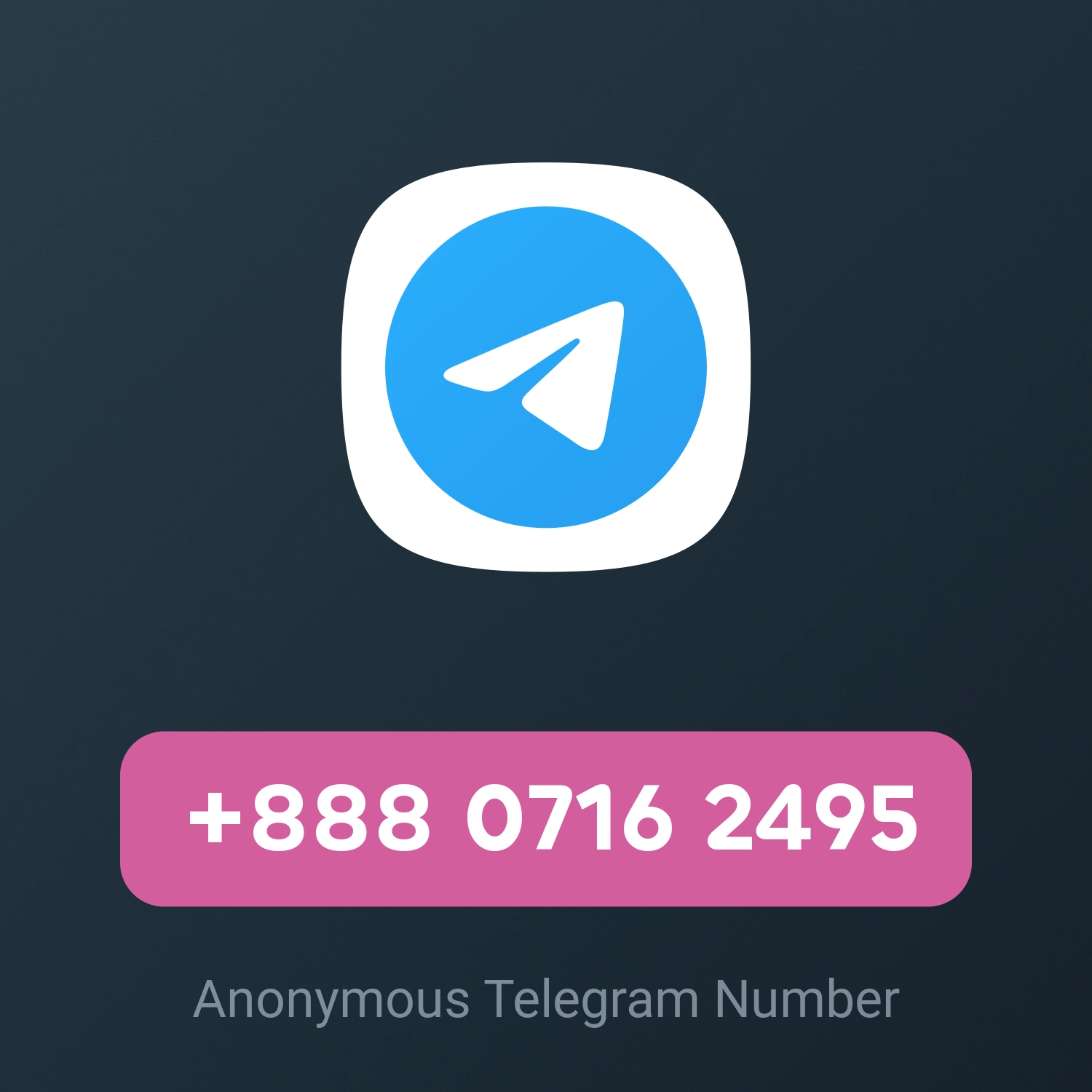 +888 0716 2495