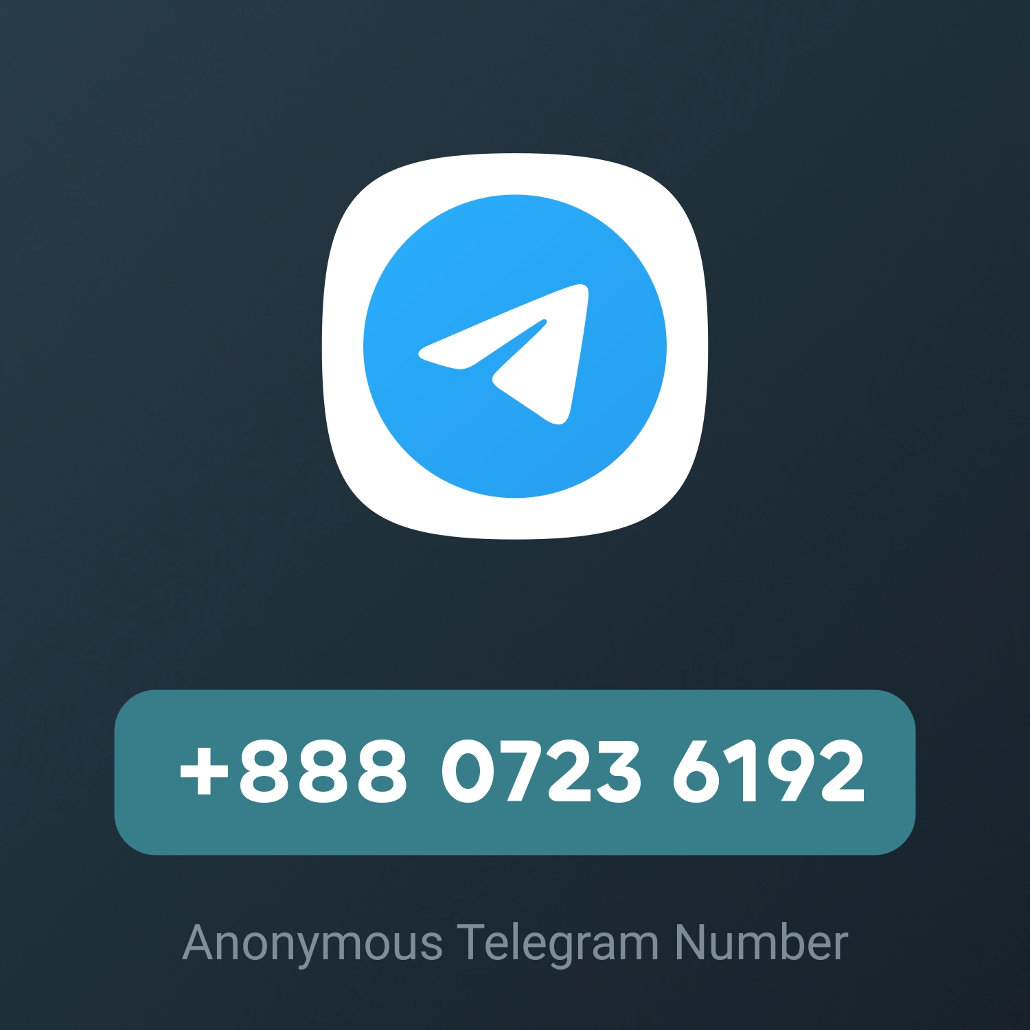 +888 0723 6192
