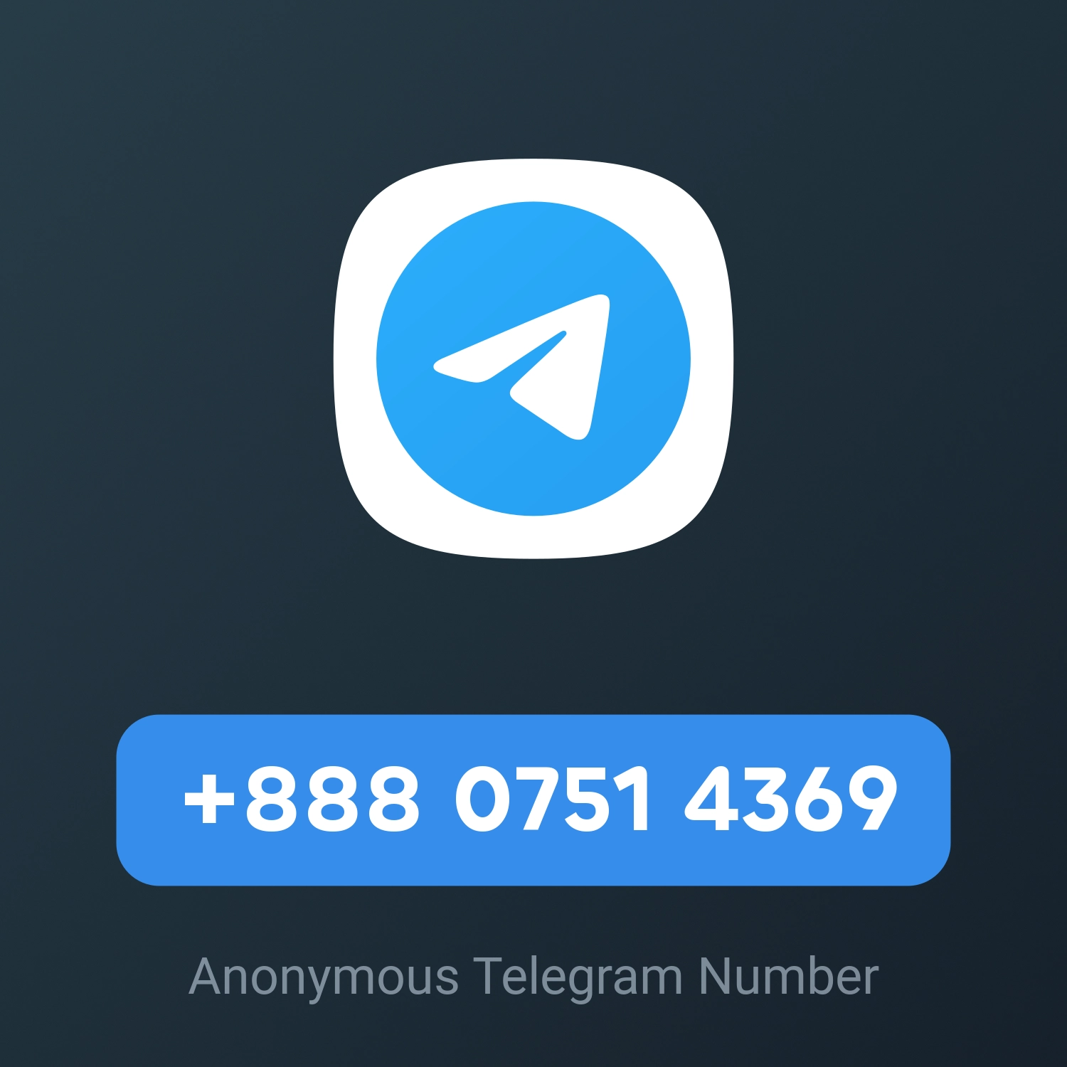 +888 0751 4369