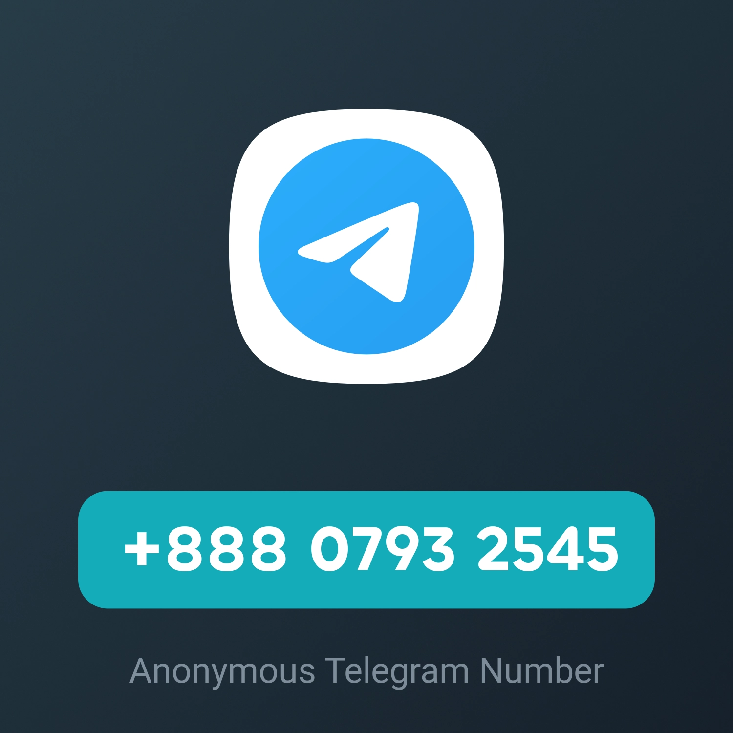 +888 0793 2545