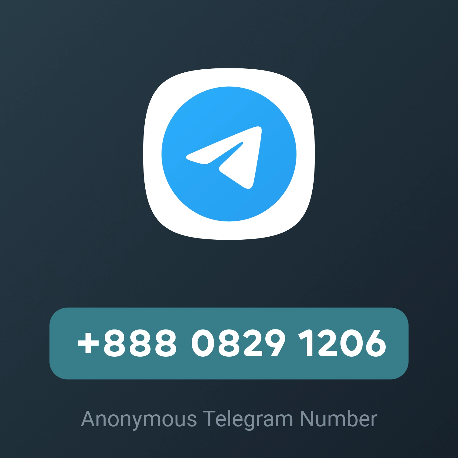 +888 0829 1206