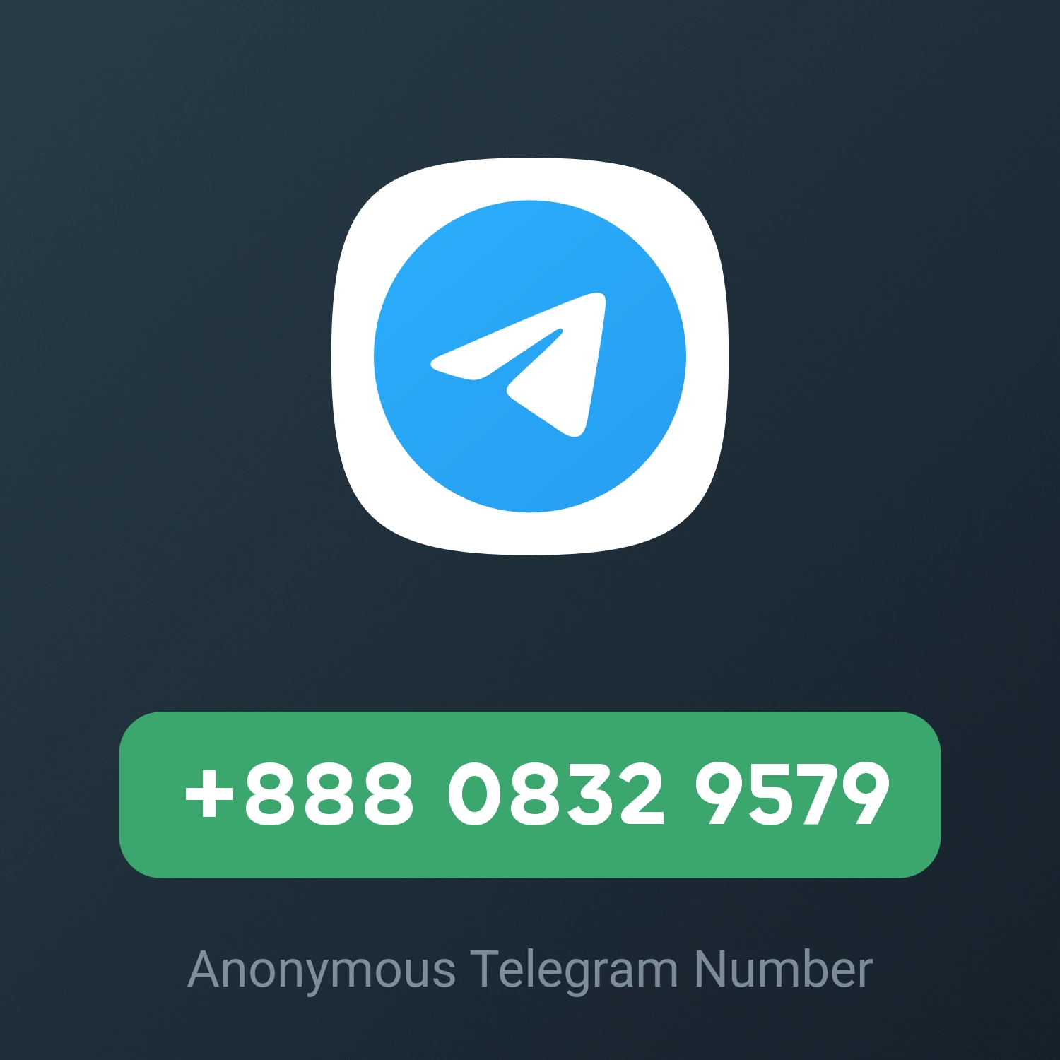 +888 0832 9579