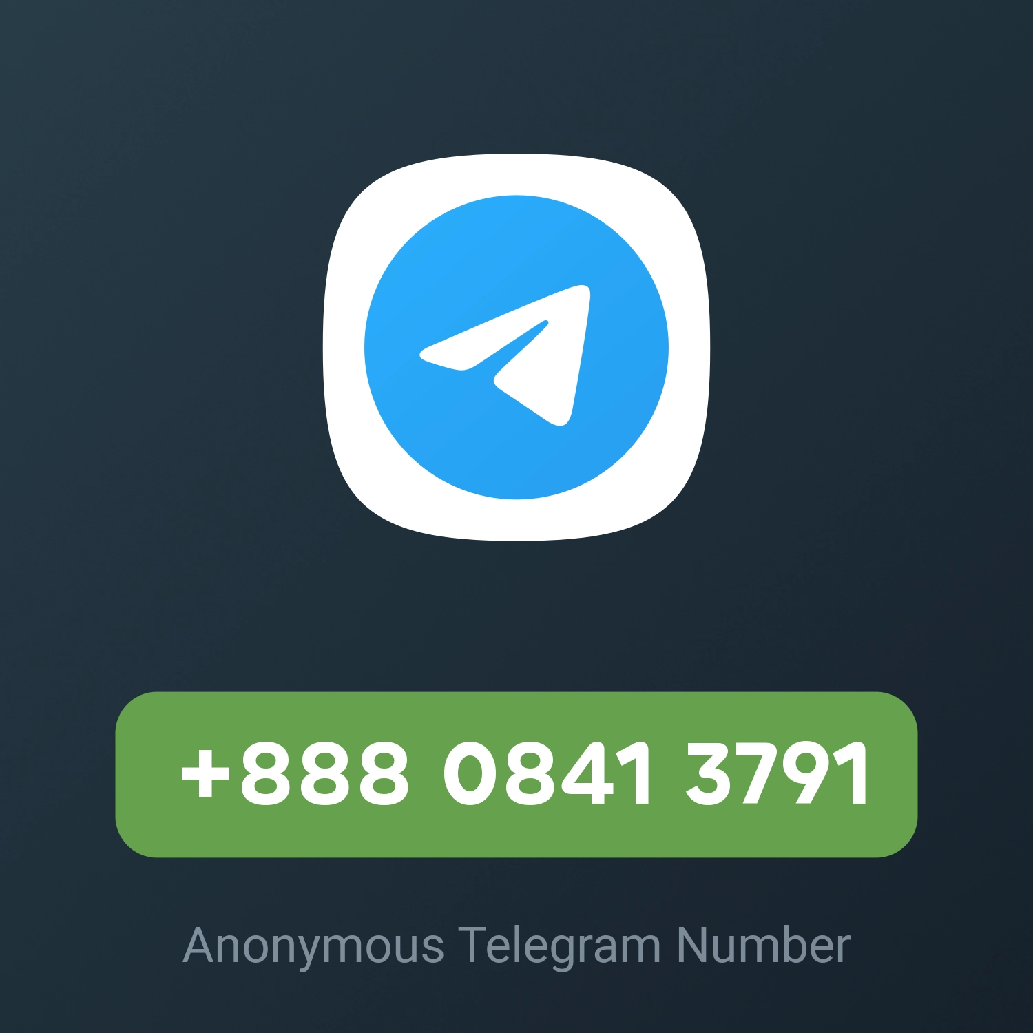 +888 0841 3791
