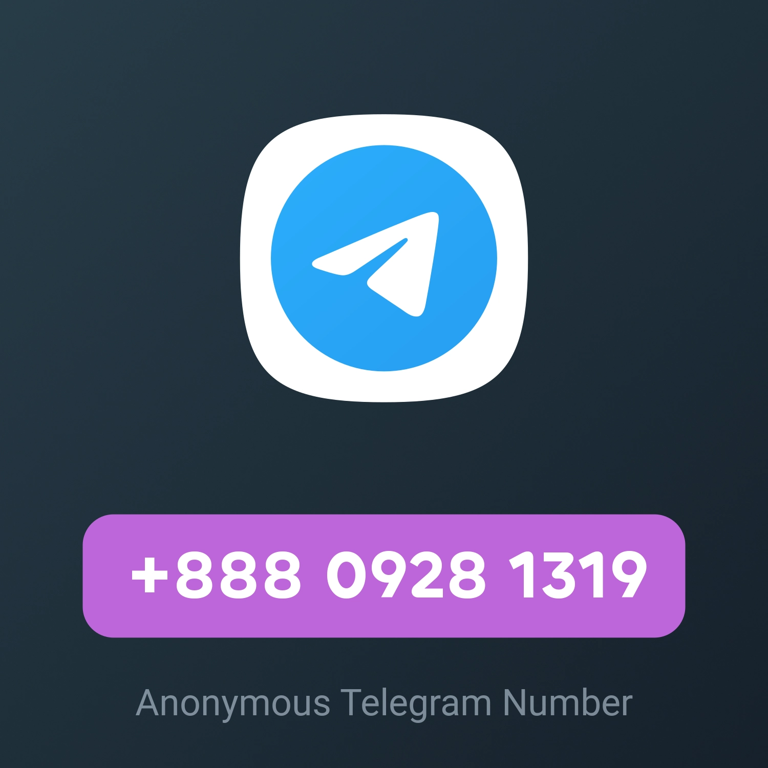 +888 0928 1319