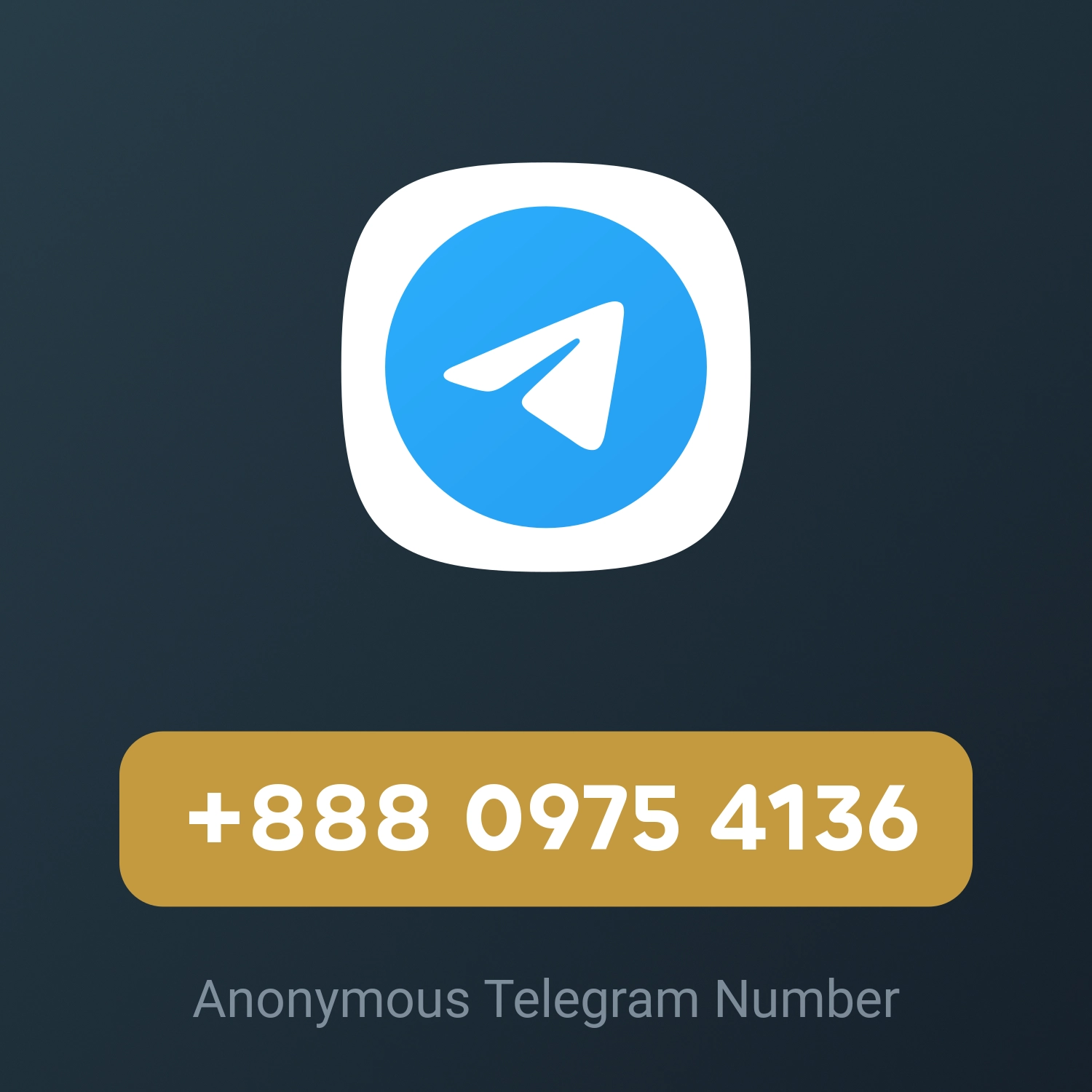 +888 0975 4136