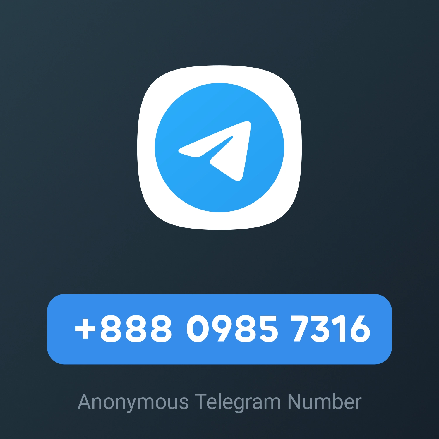 +888 0985 7316