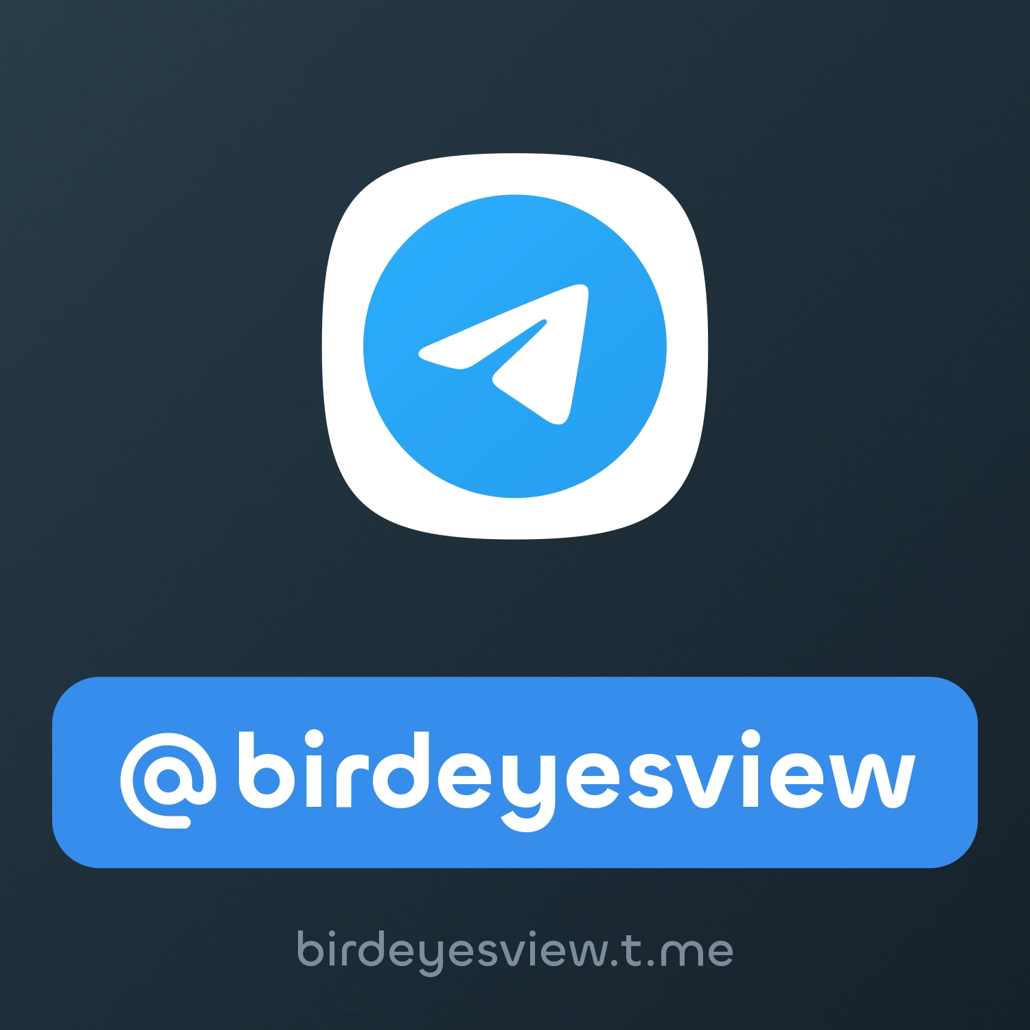@birdeyesview