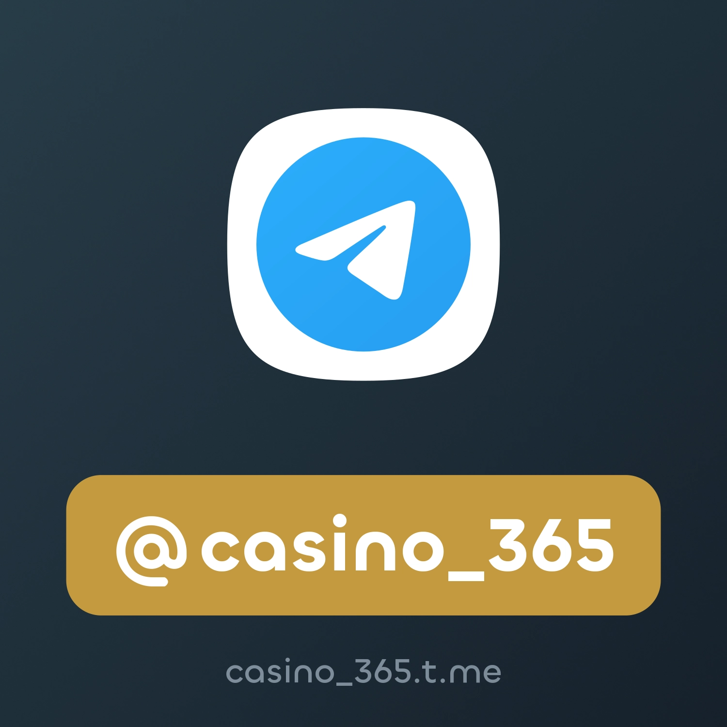 @casino_365