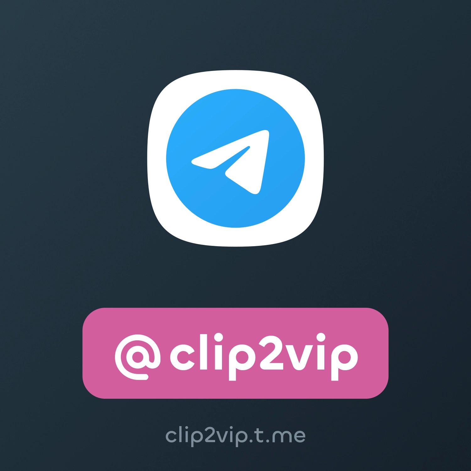 Clip2vip