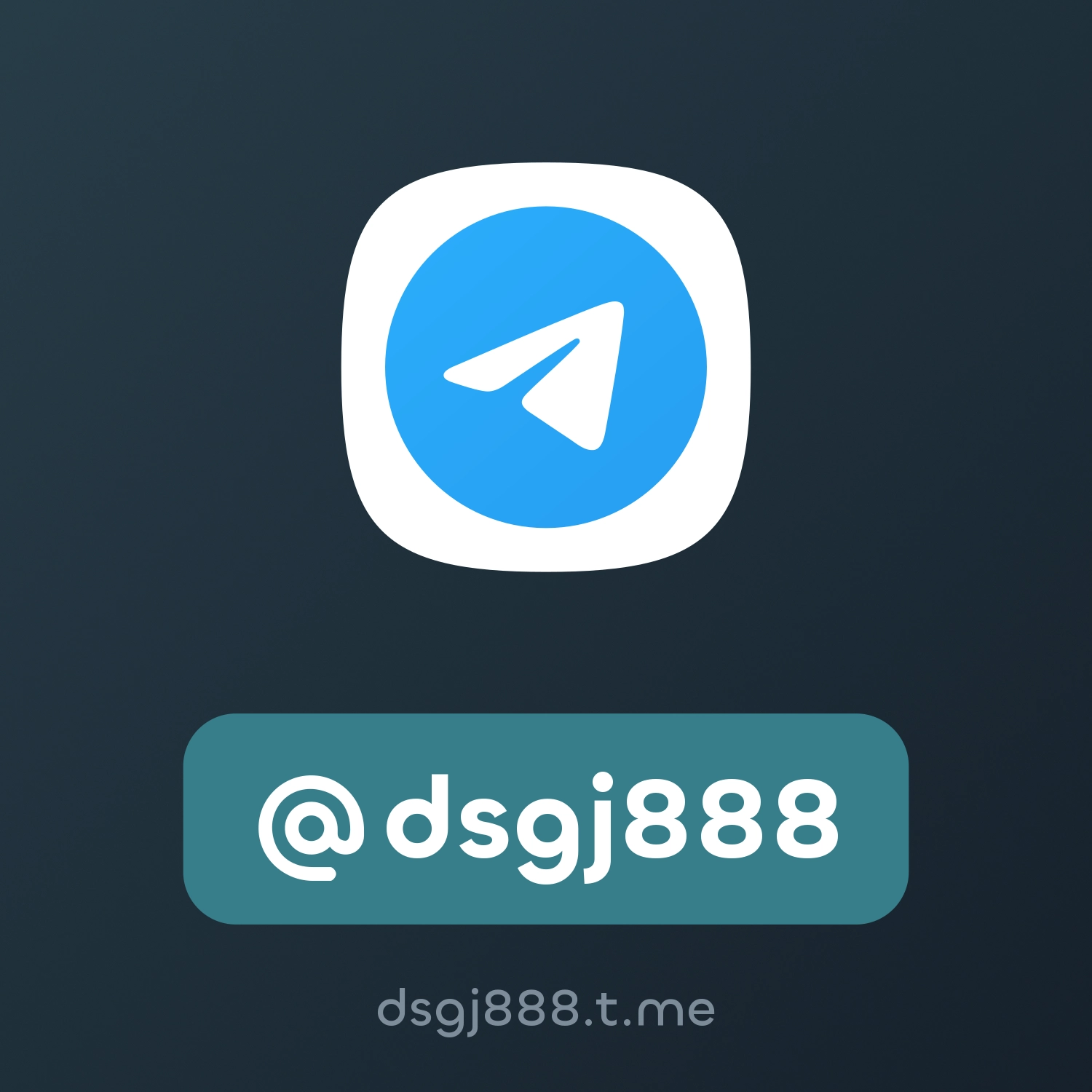 @dsgj888