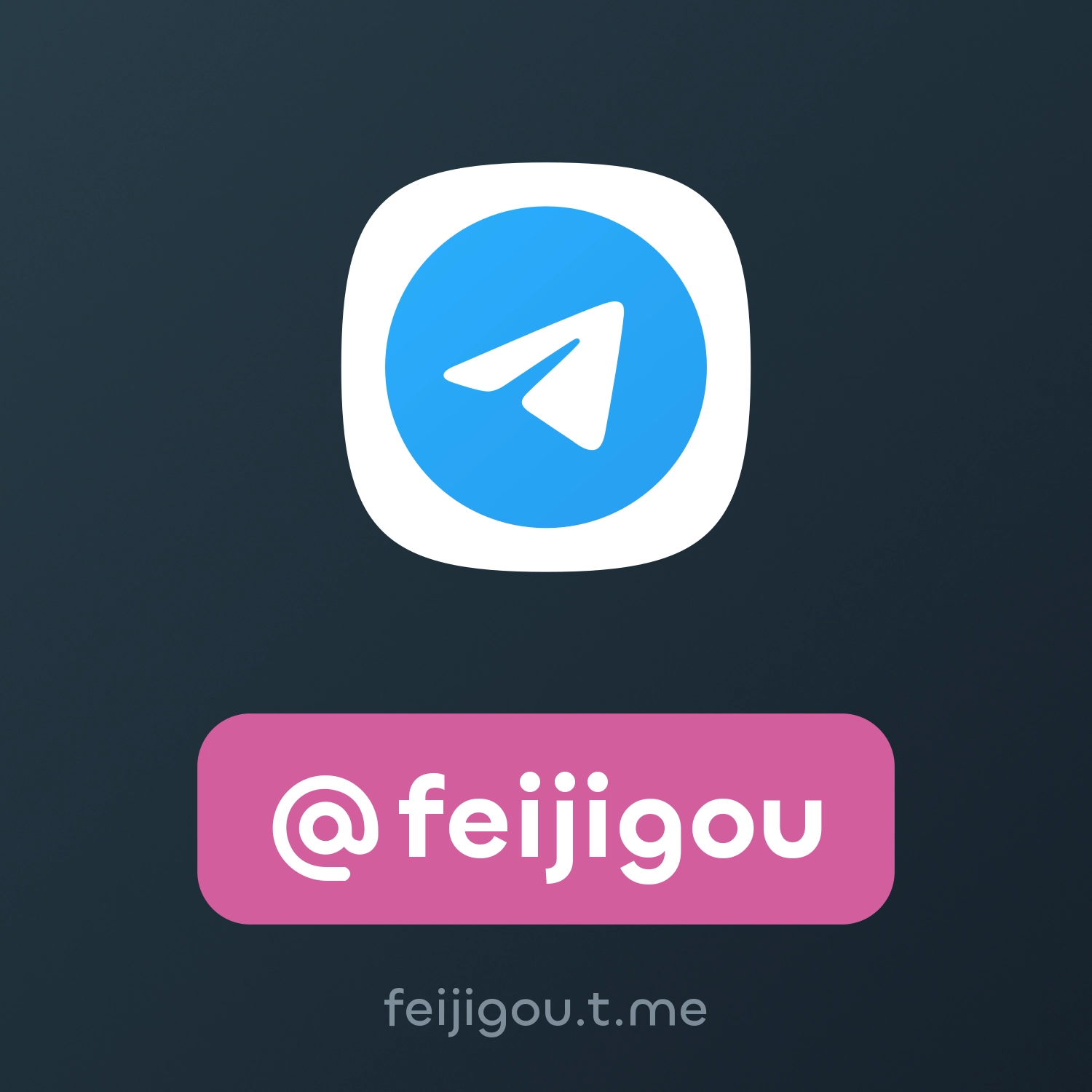 @feijigou