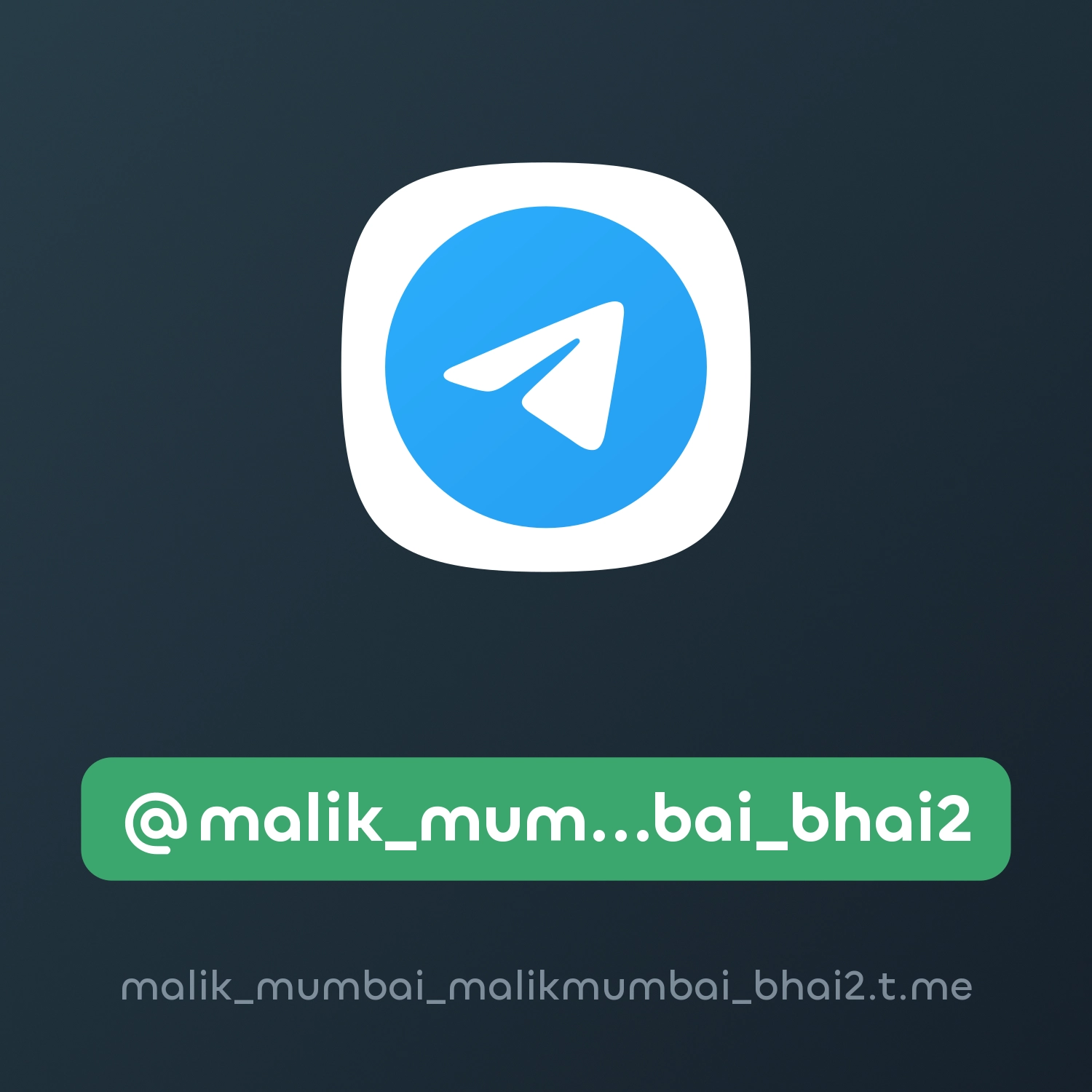 @malik_mumbai_malikmumbai_bhai2