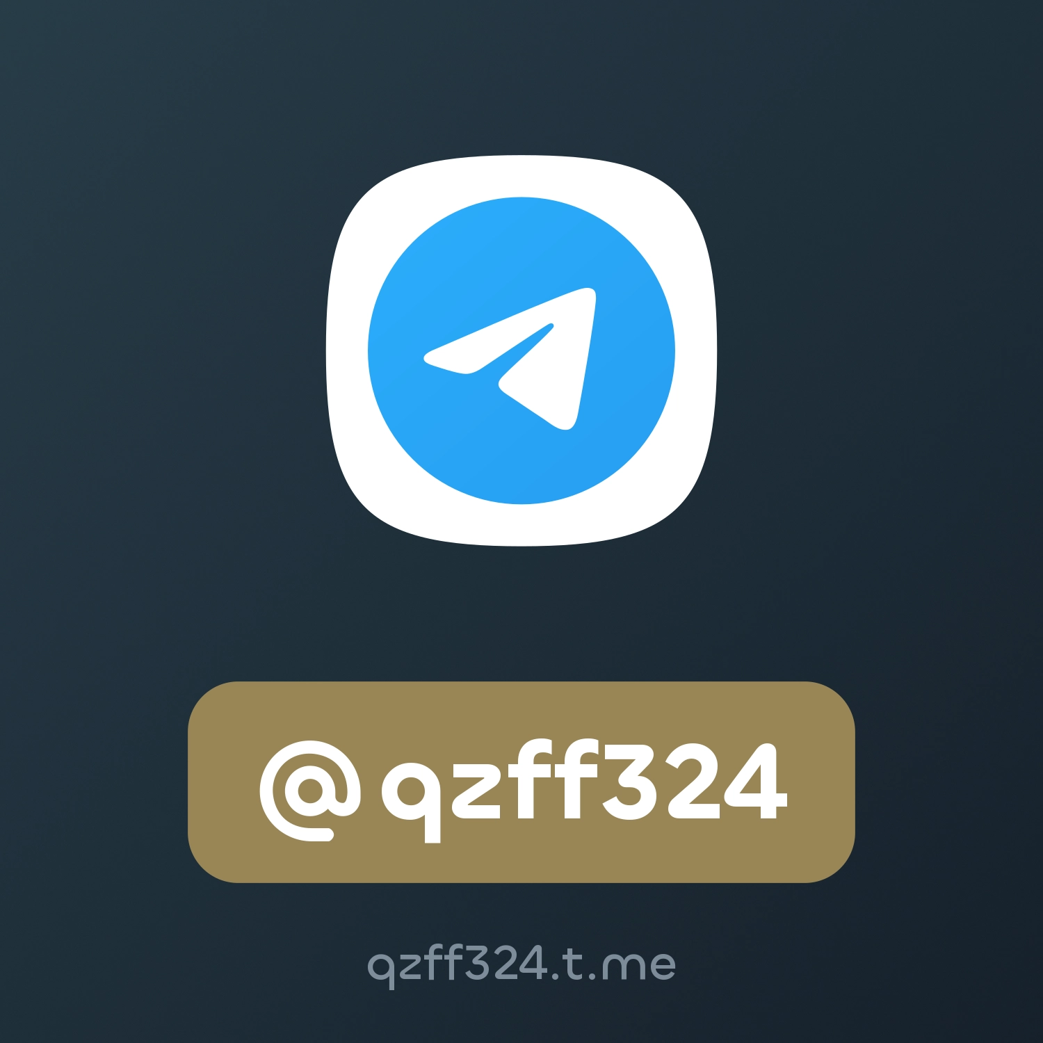 @qzff324